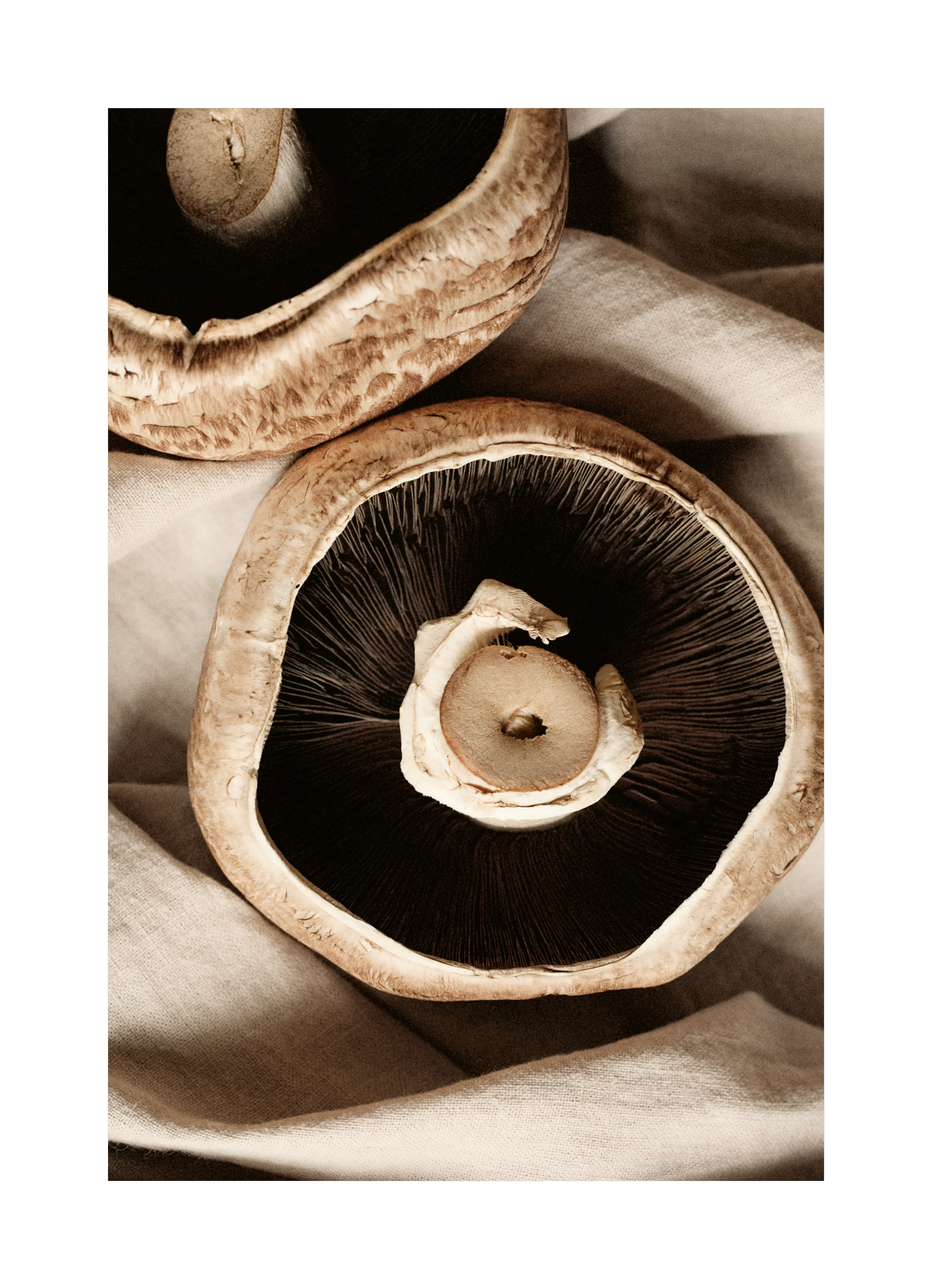 Product image: 1