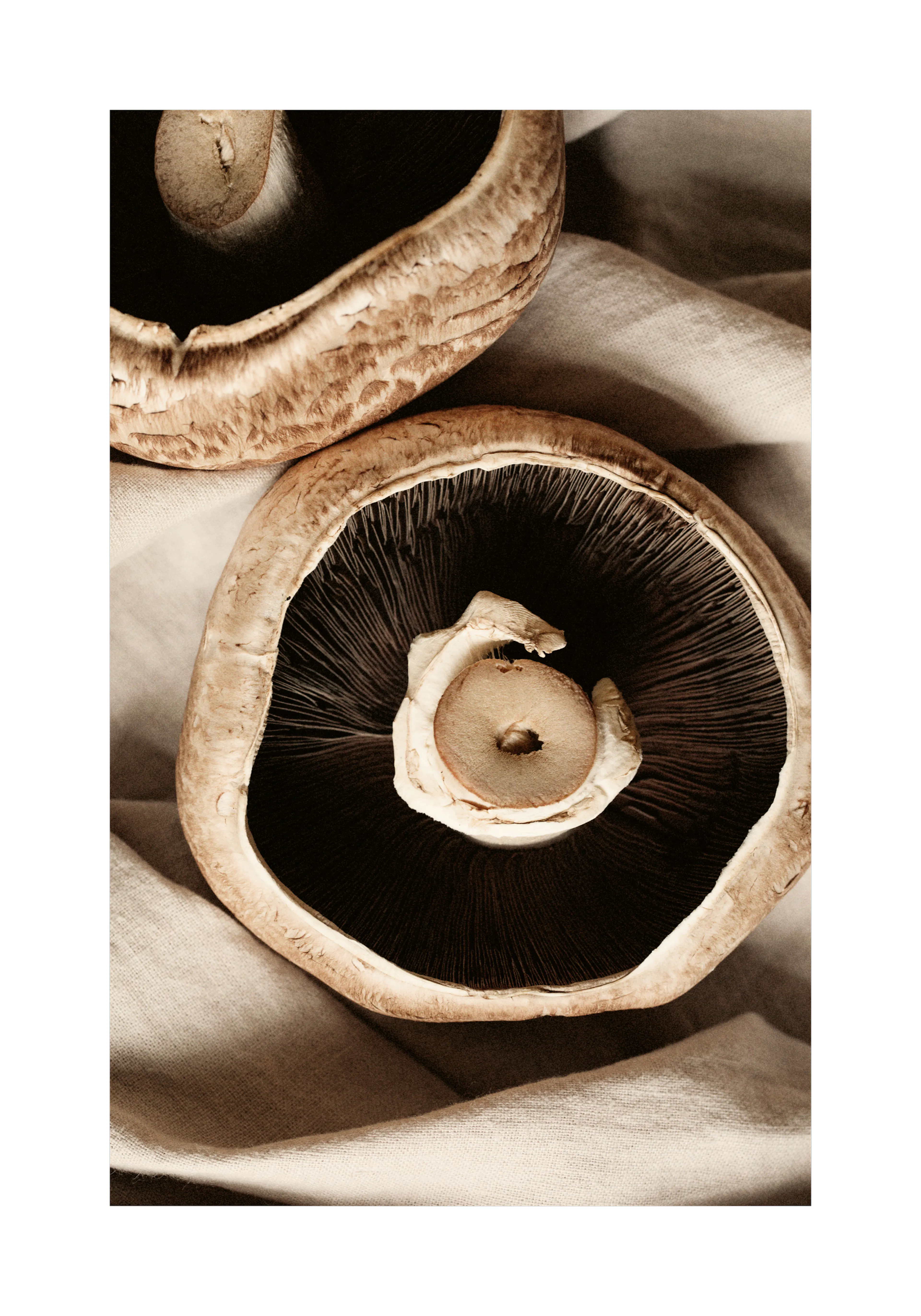 Product image: 1