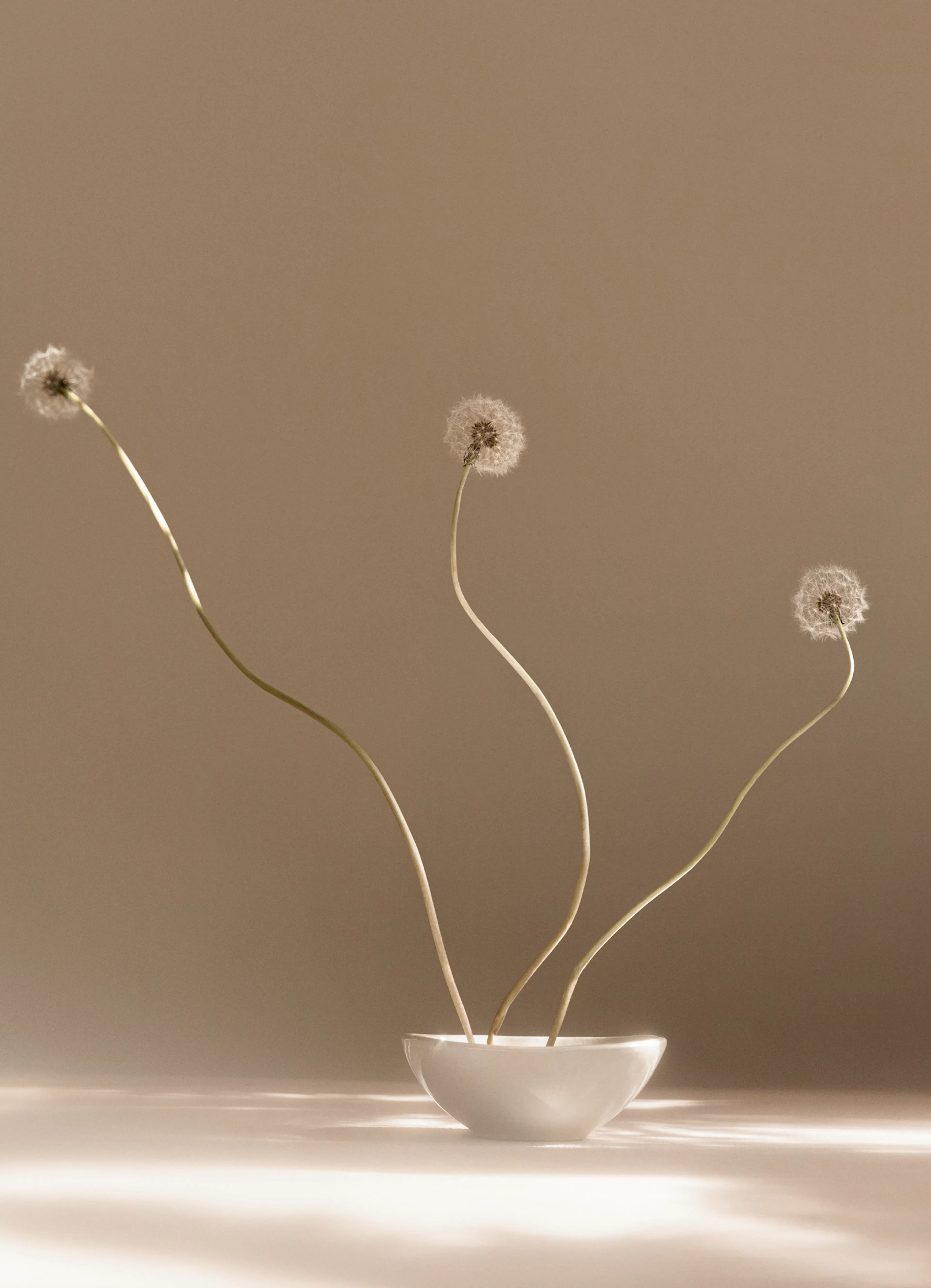 Product image: 1