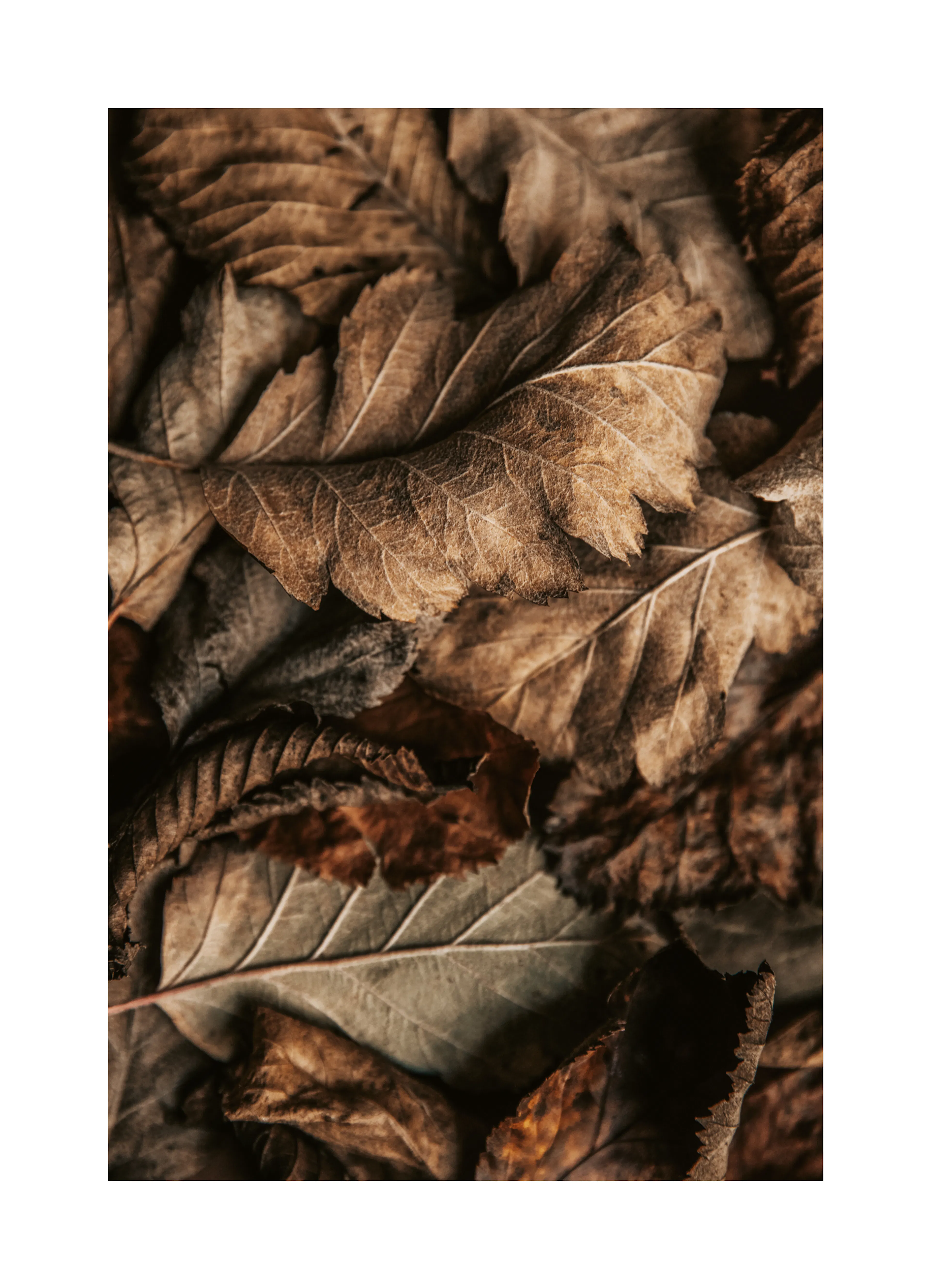 Product image: 1