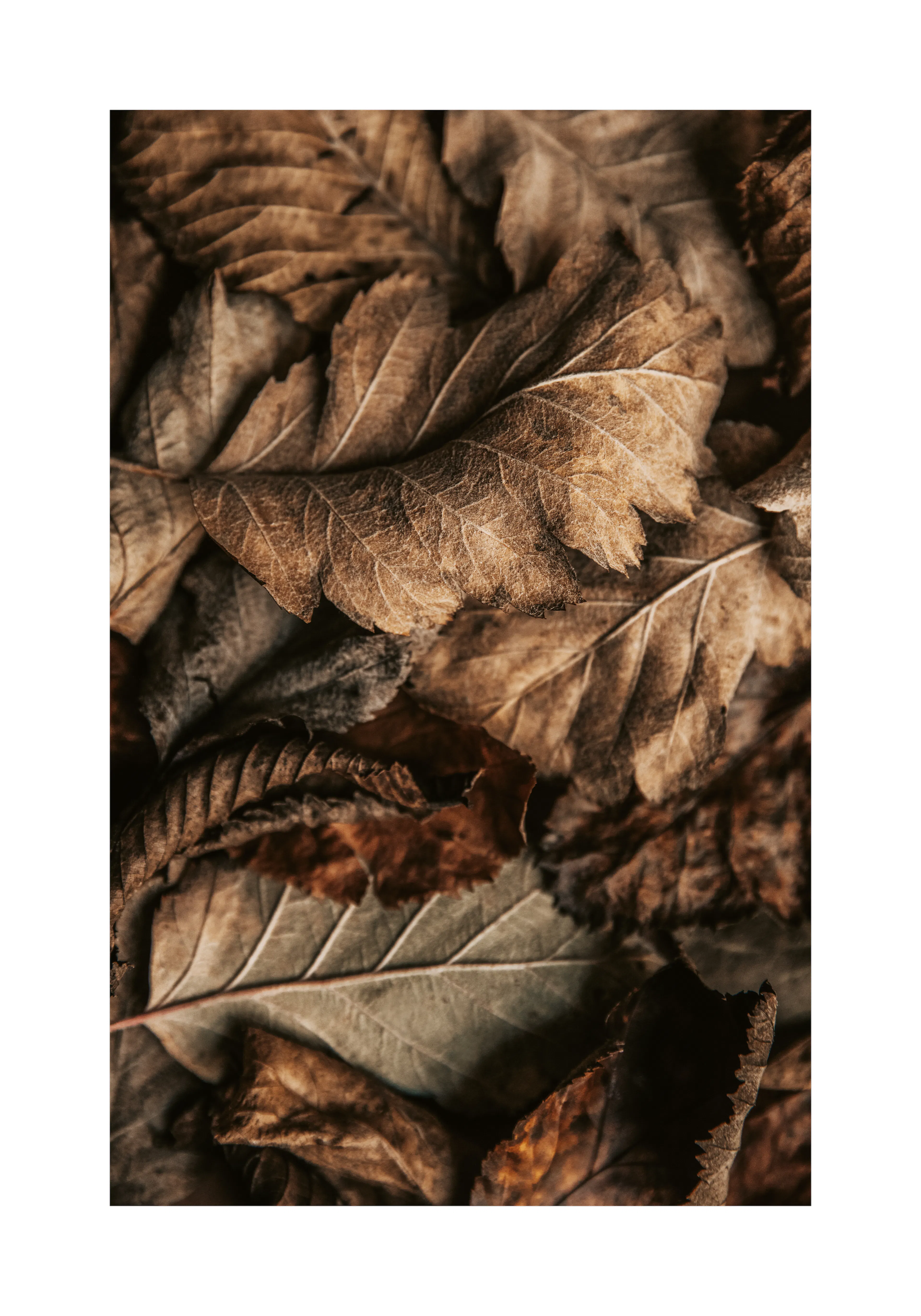 Product image: 1