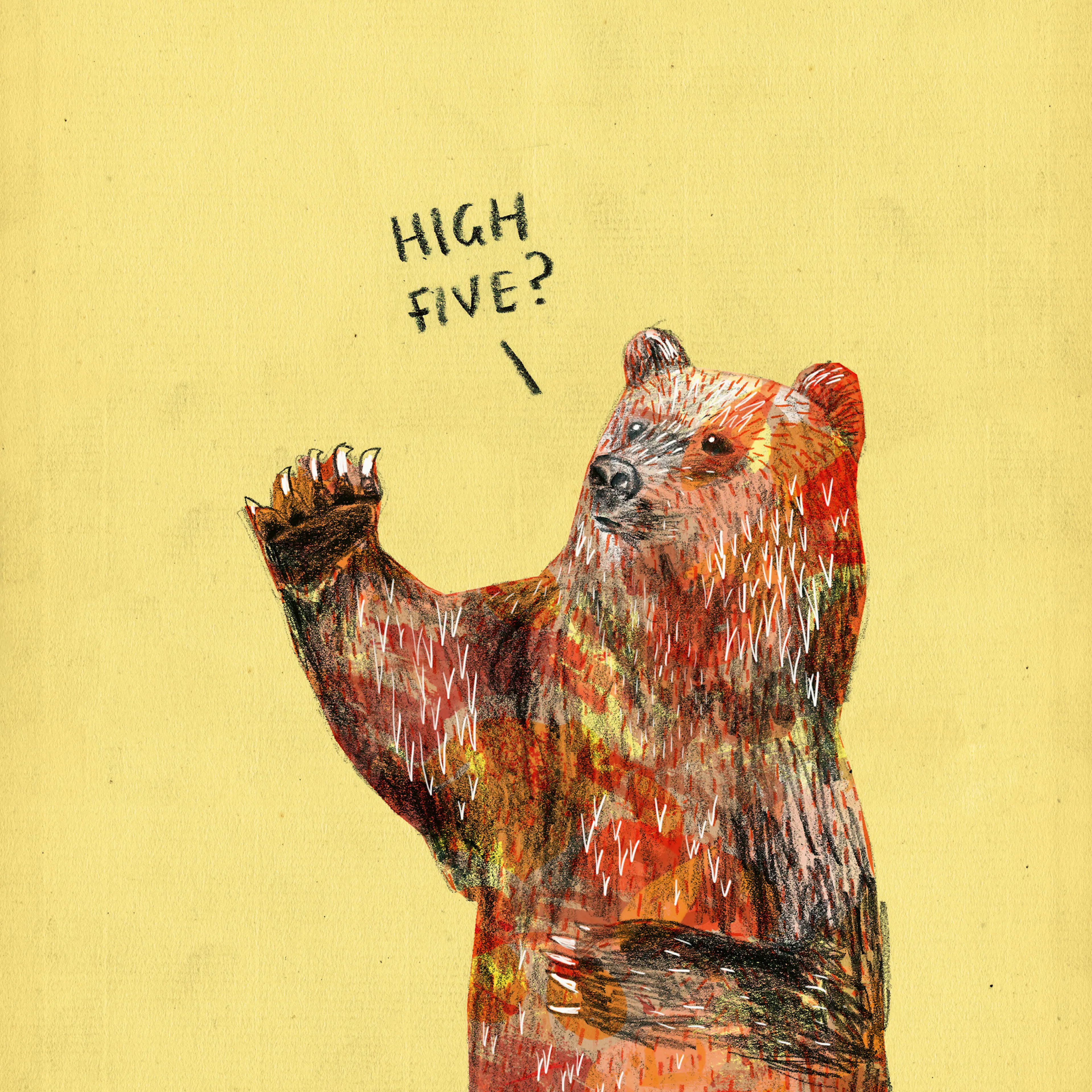 Oso Choca los Cinco Póster 0
