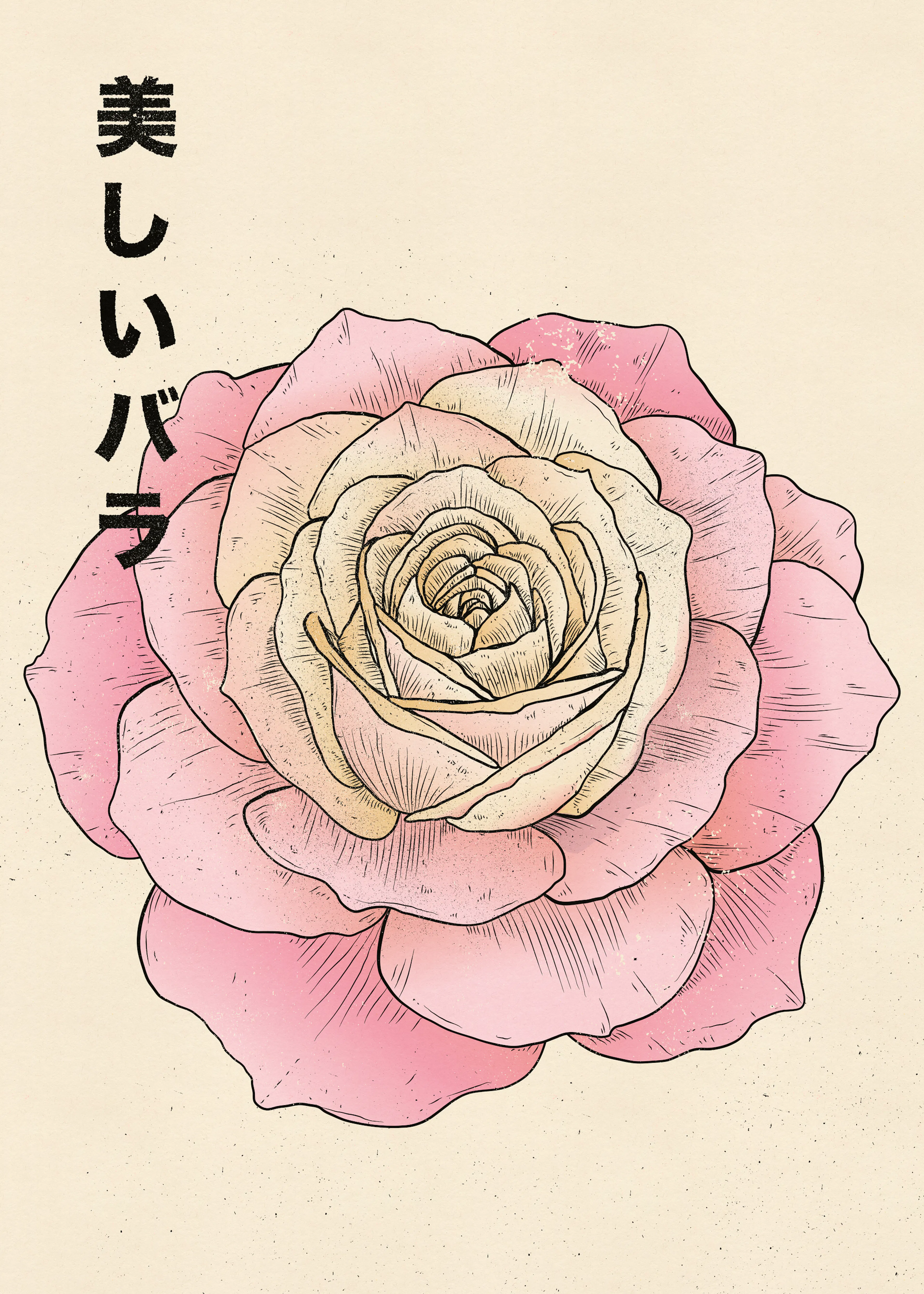 Rosa Hermosa Póster 0
