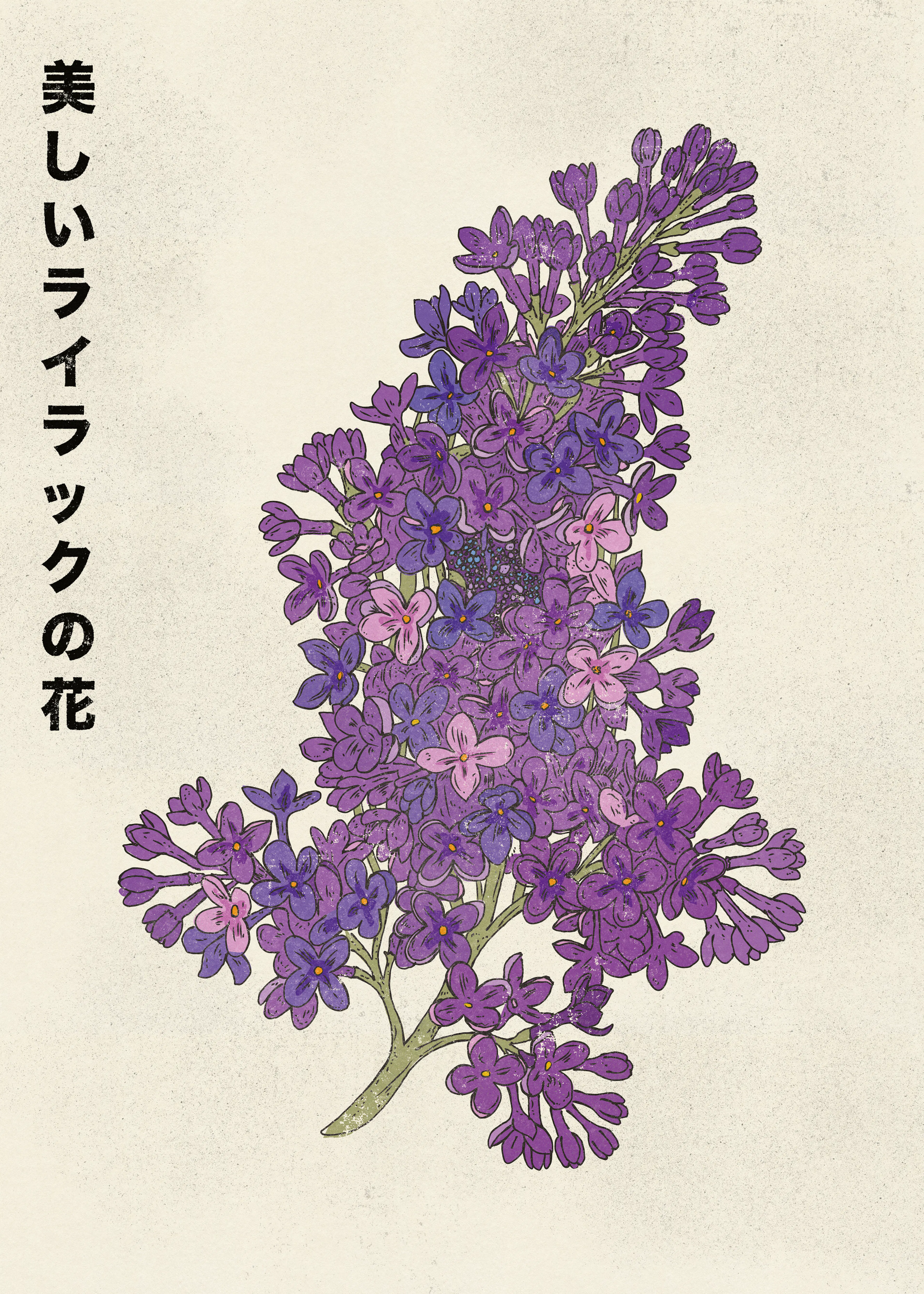 Beautiful Lilac Poster 0