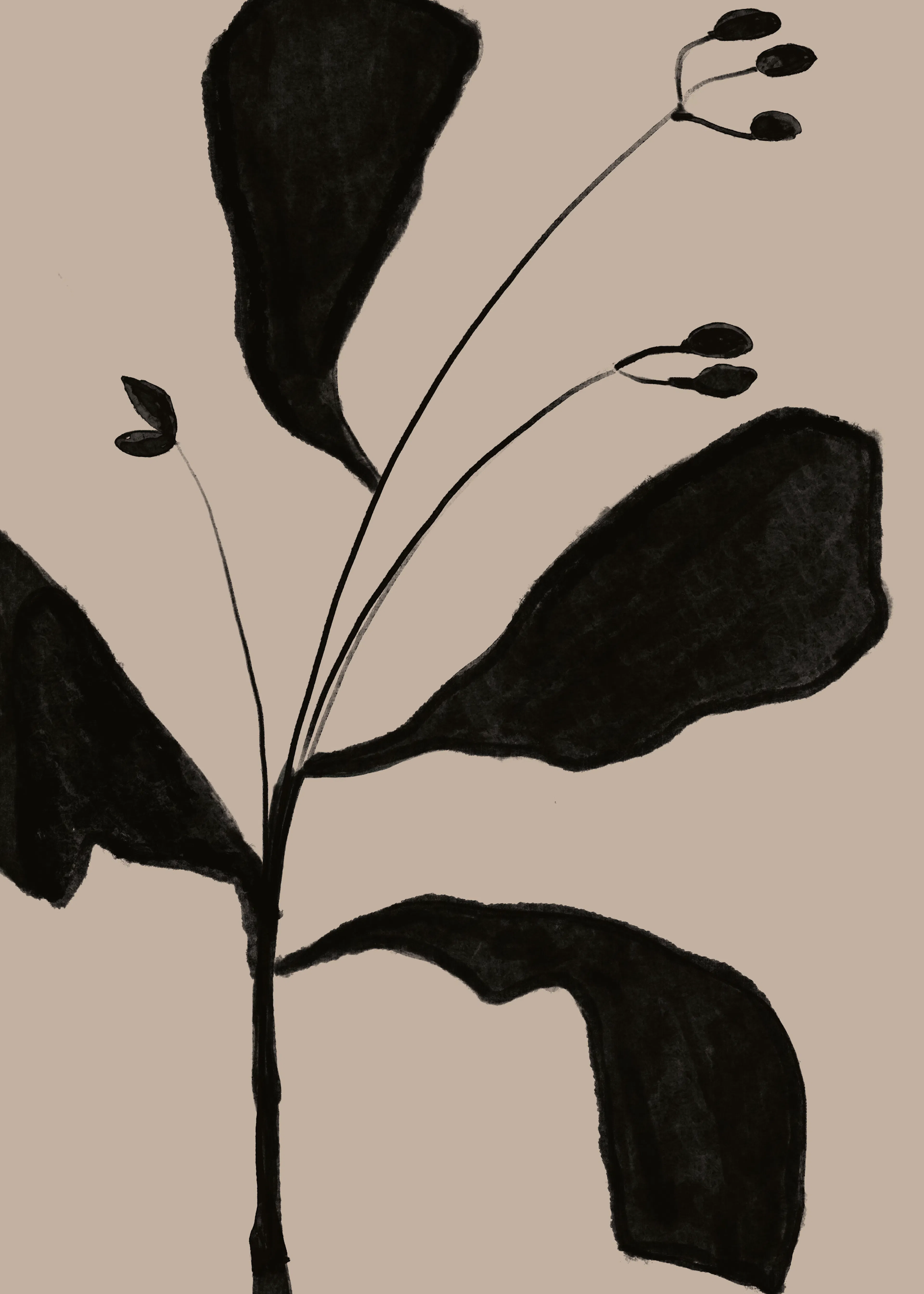 Black Minimalist Plant Poster 0