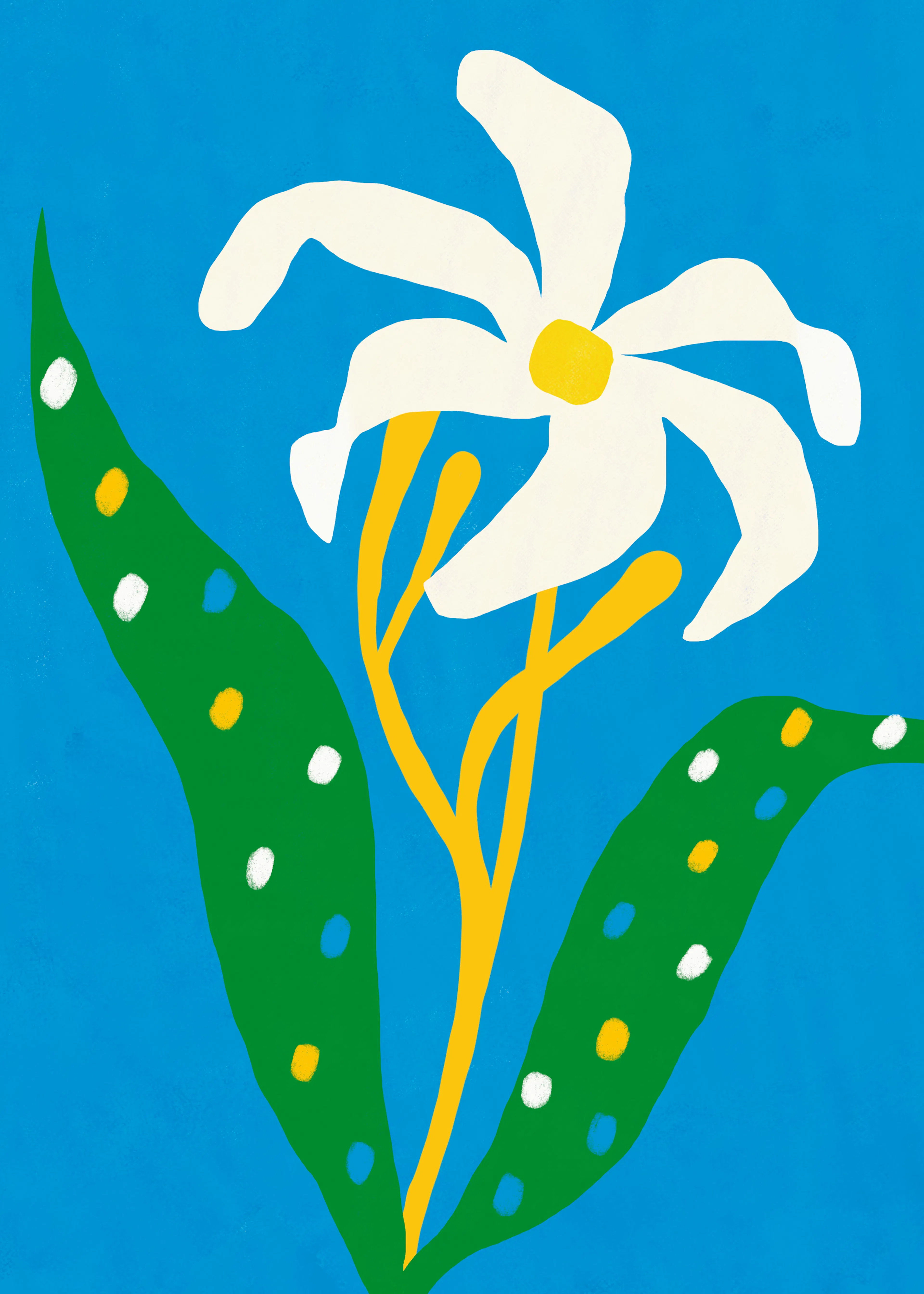 Wildflower Bloom Poster 0