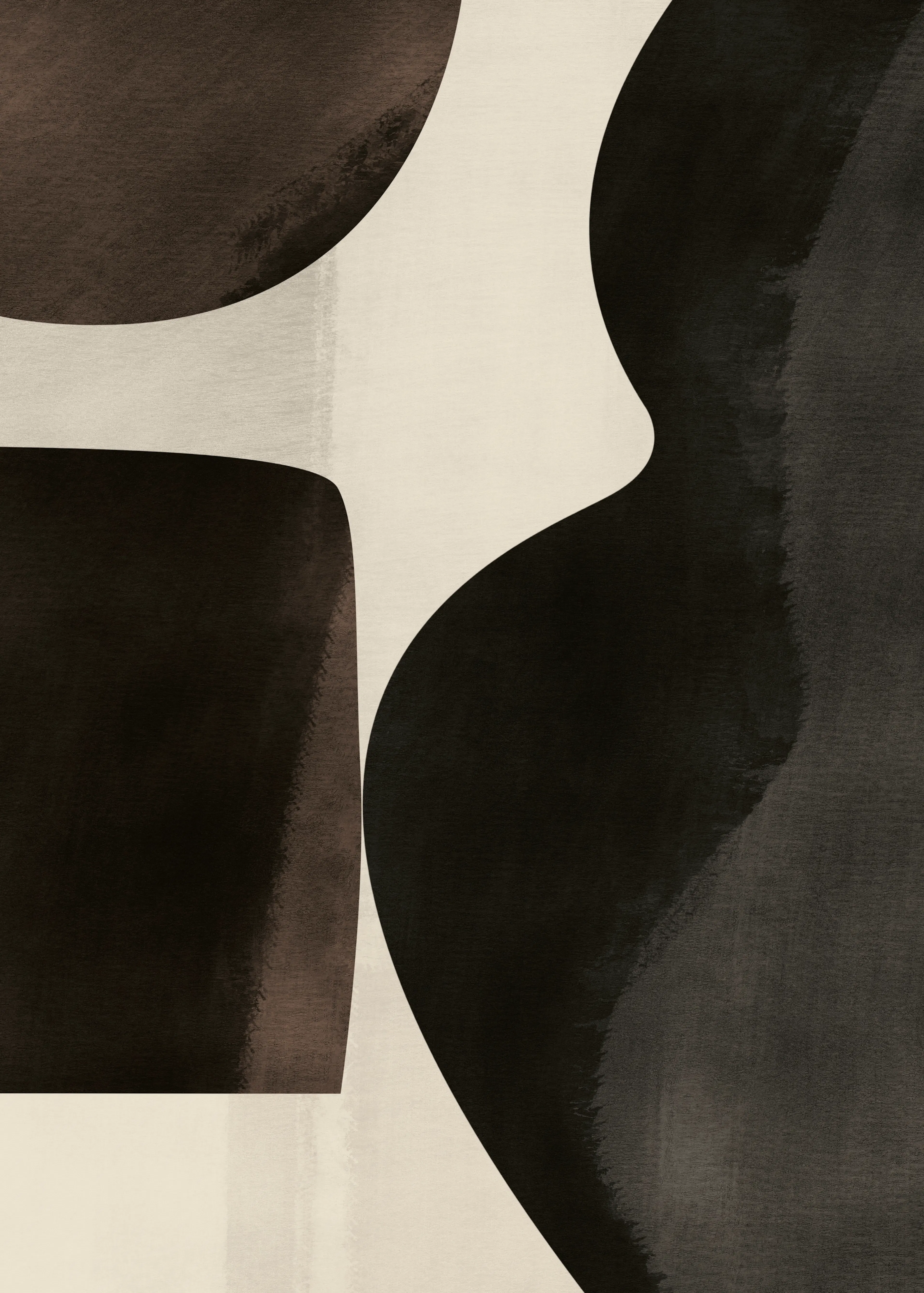Ebony Abstract Shadows Poster 0