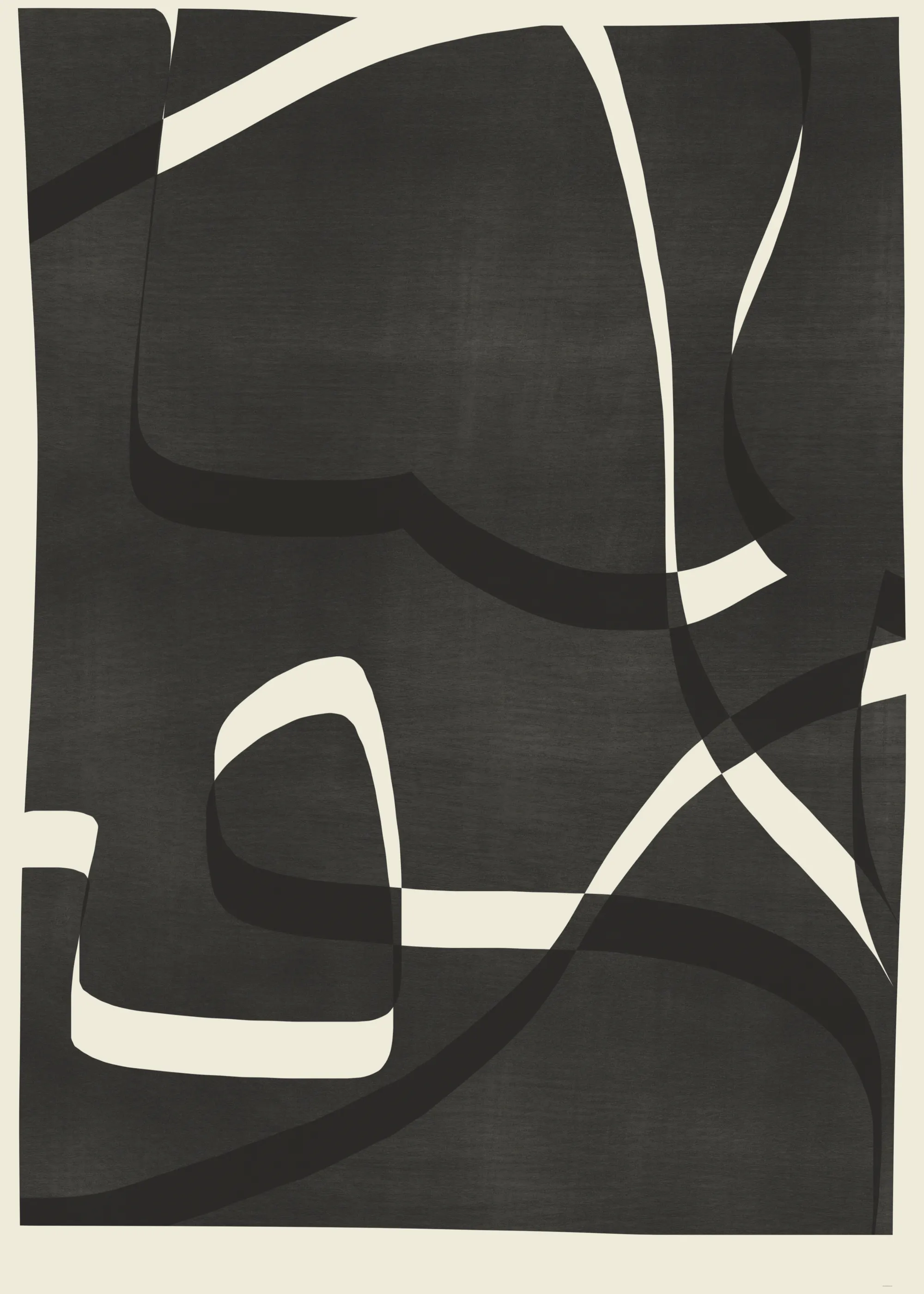 Dark Charcoal Shadows Poster 0