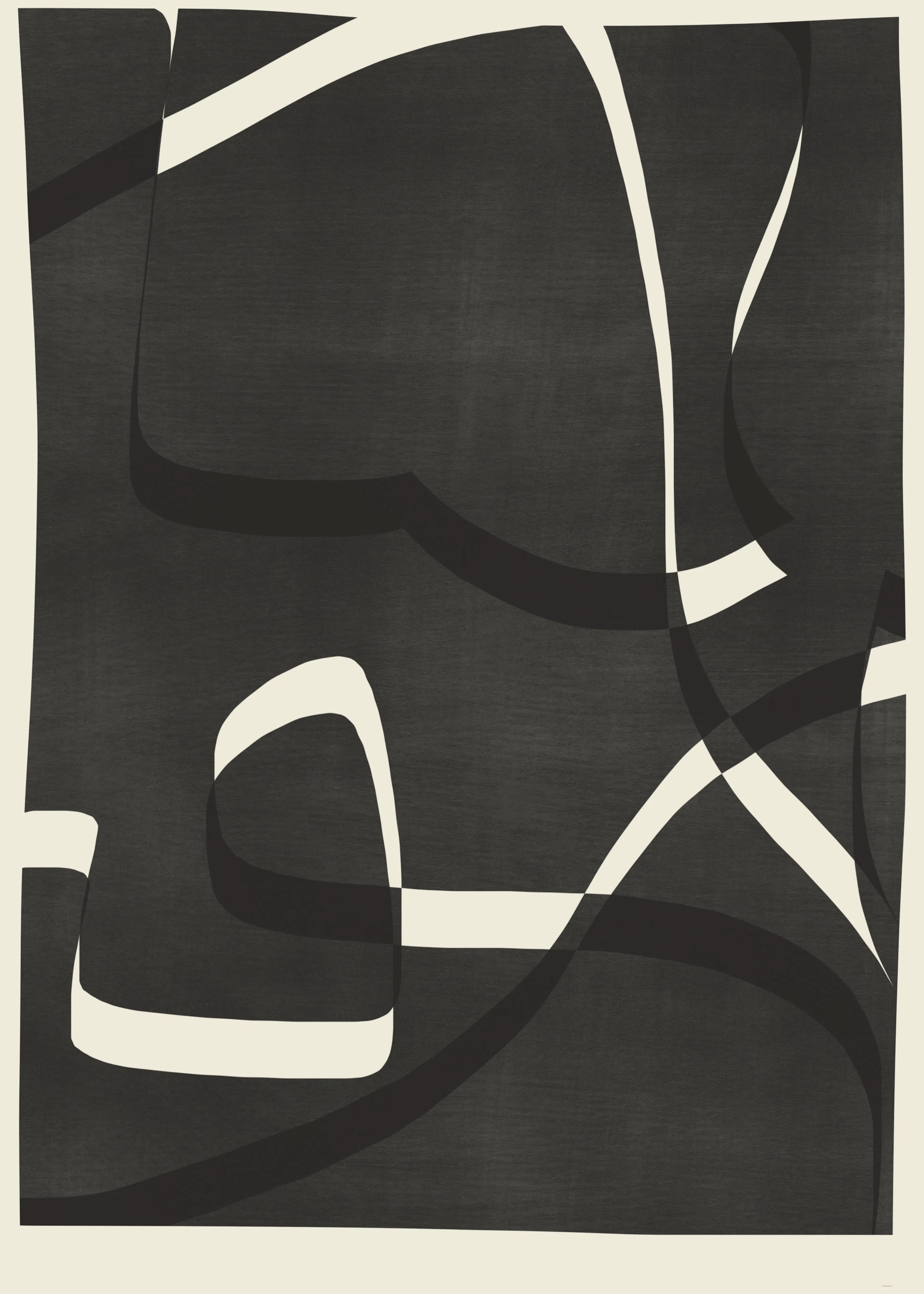 Dark Charcoal Shadows Poster 0