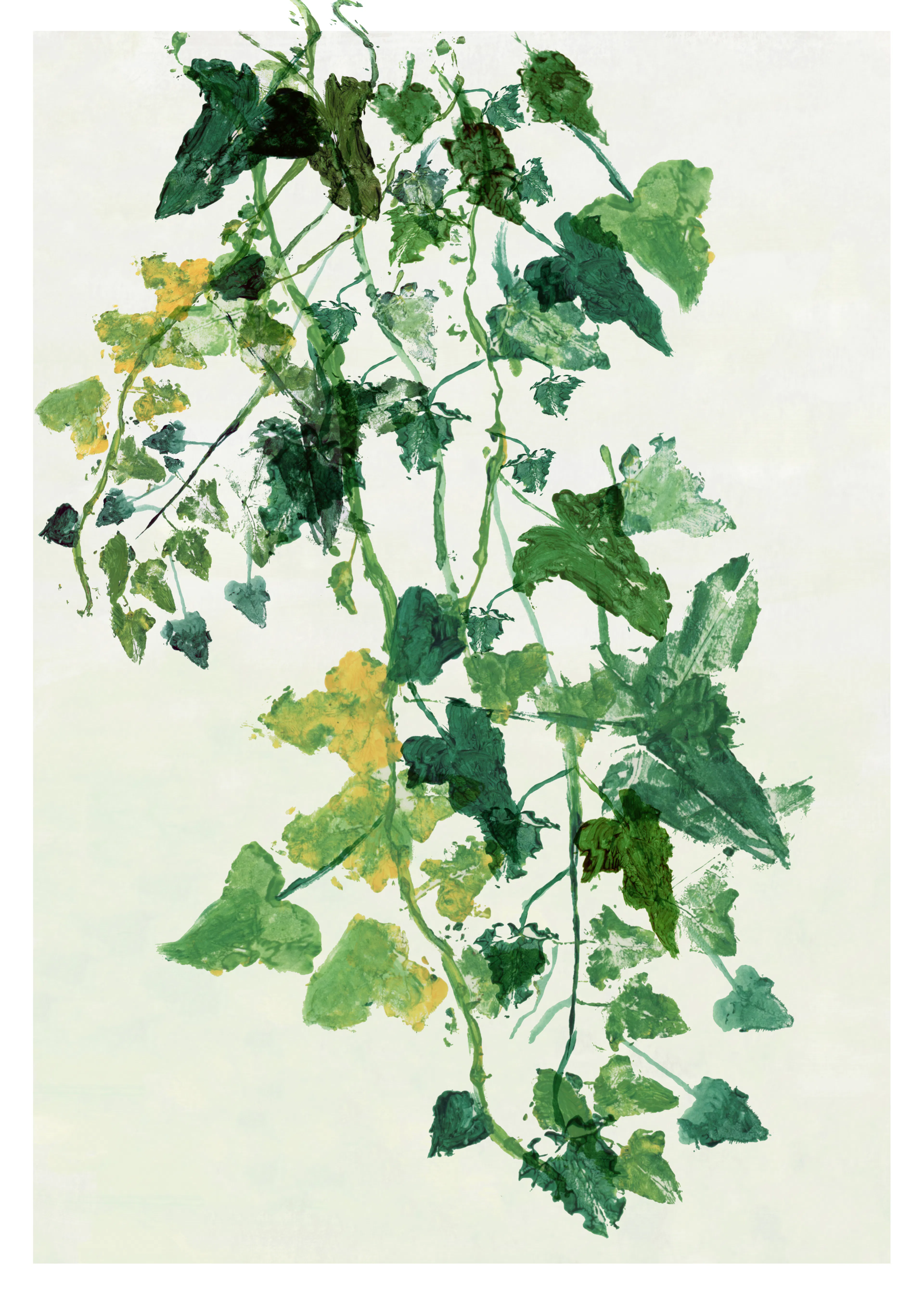 Climbing Vine Poster 0