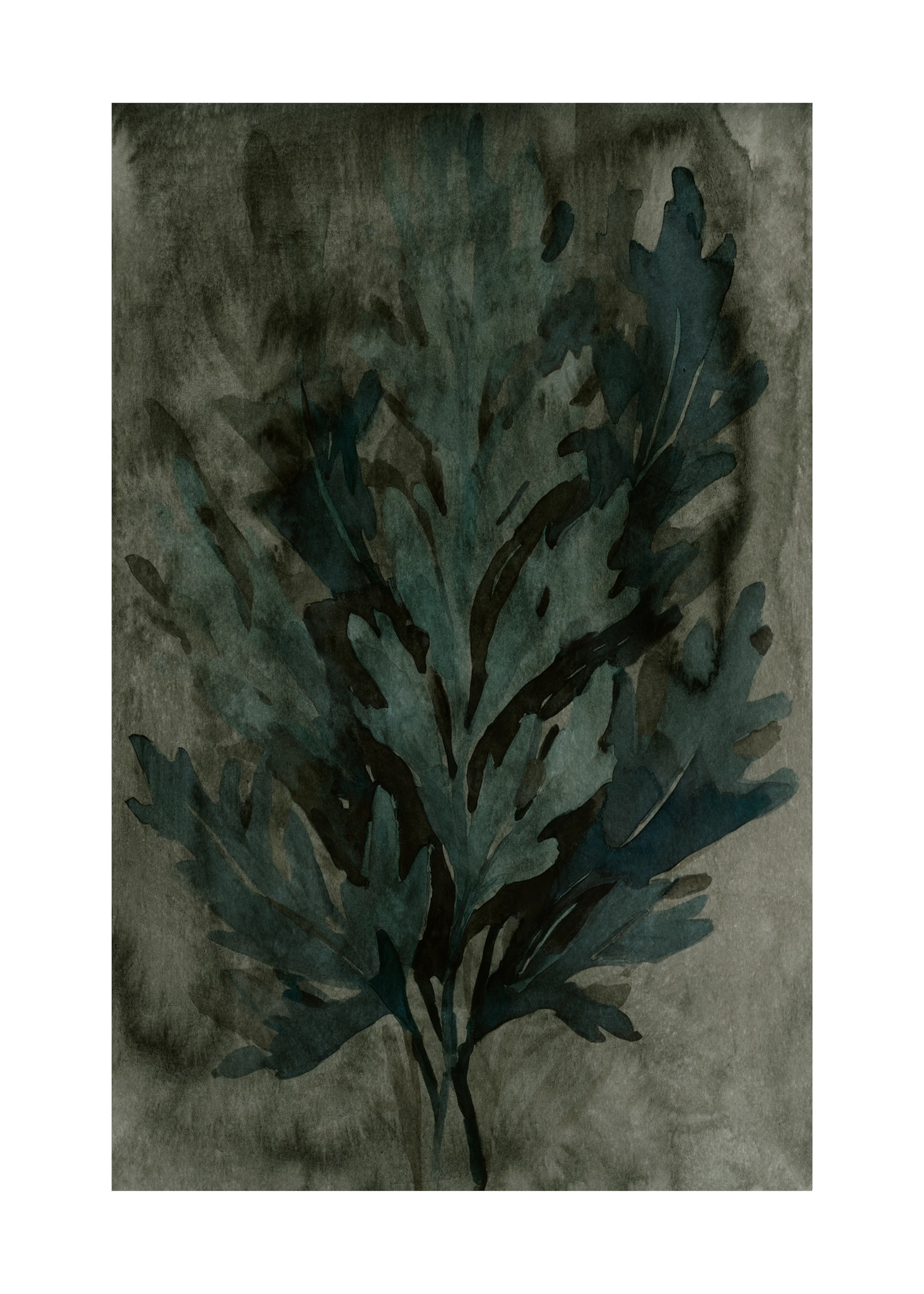 Dark Foliage Poster 0
