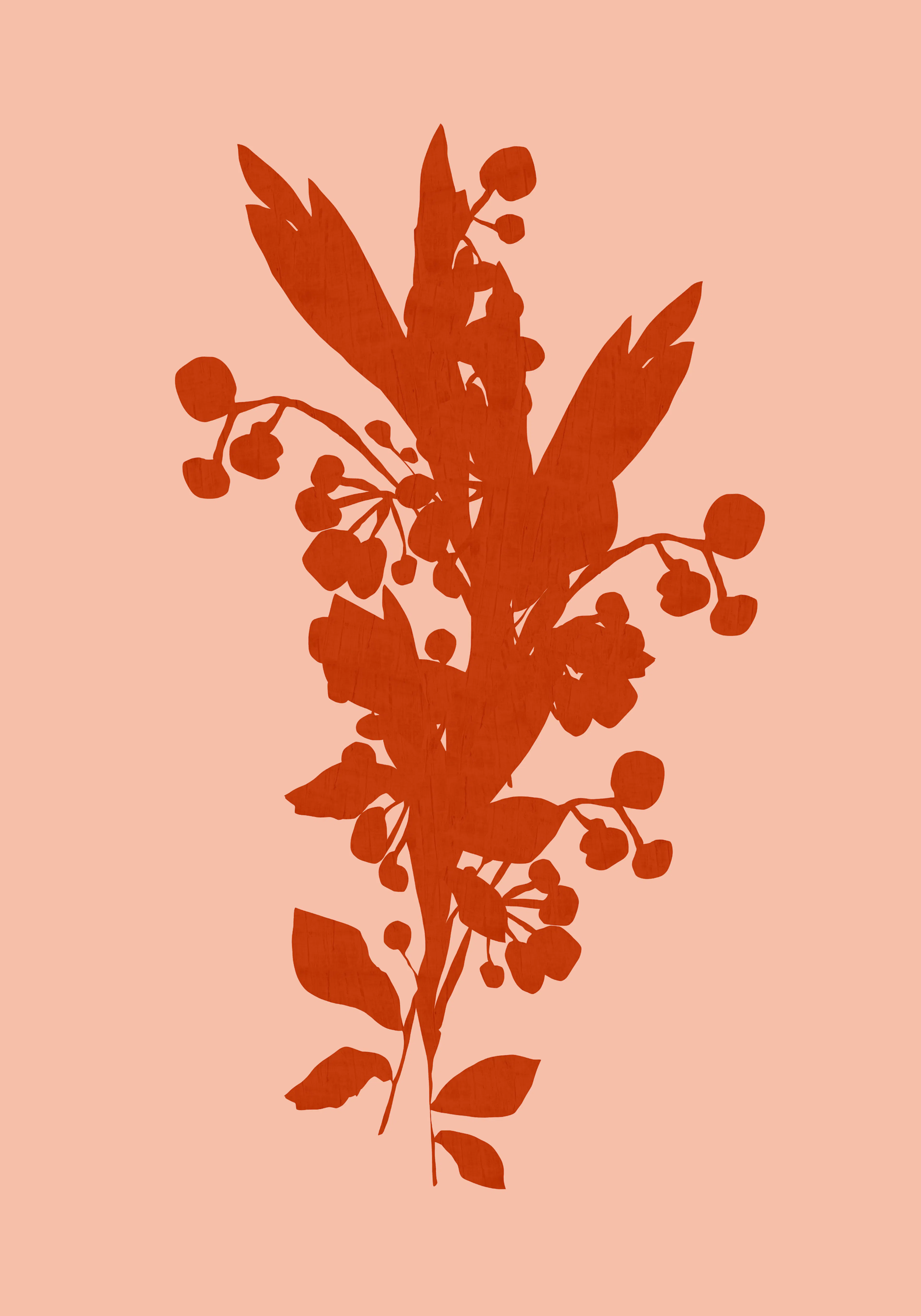 Product image: 1