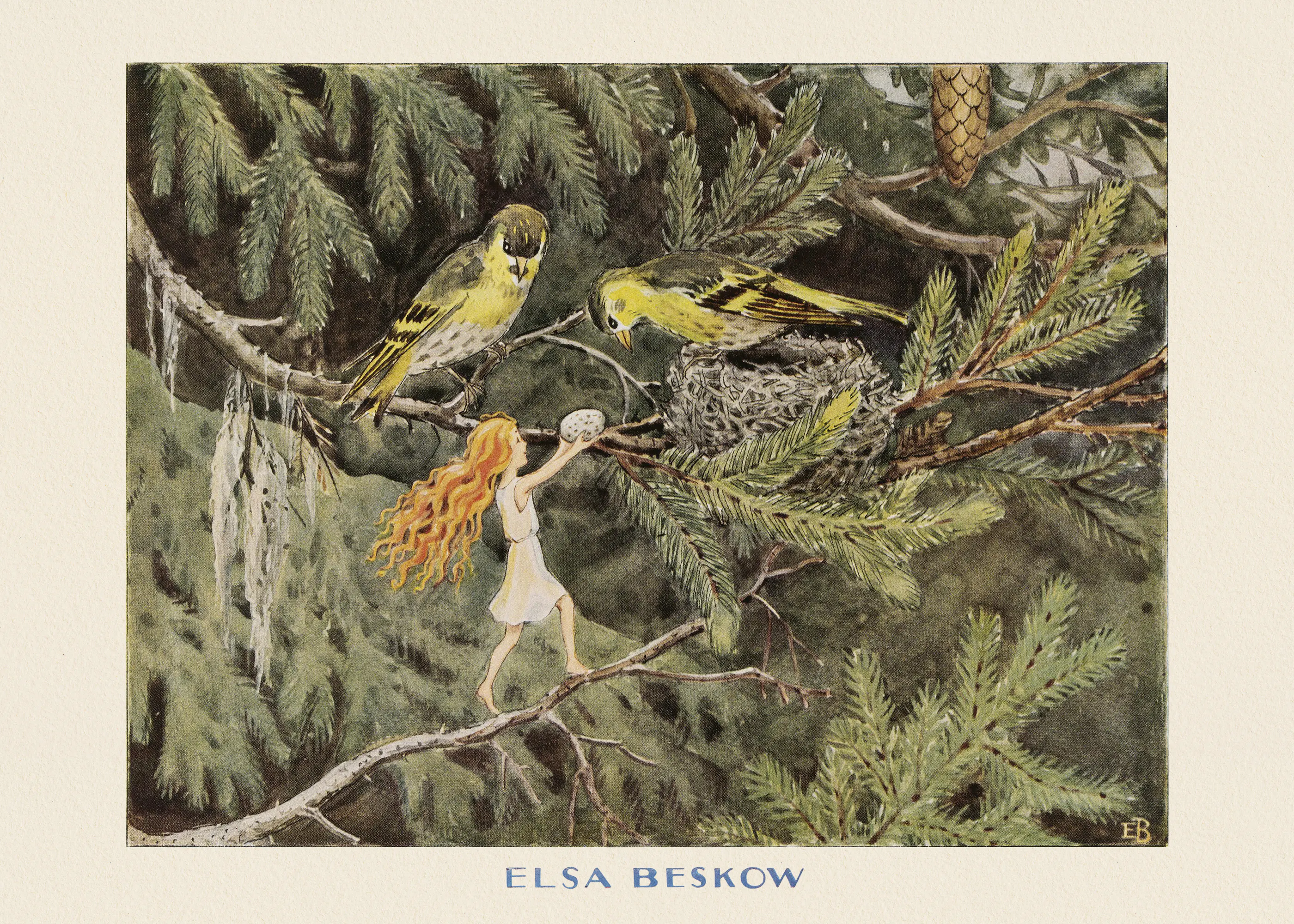 Forest Birds Poster 0