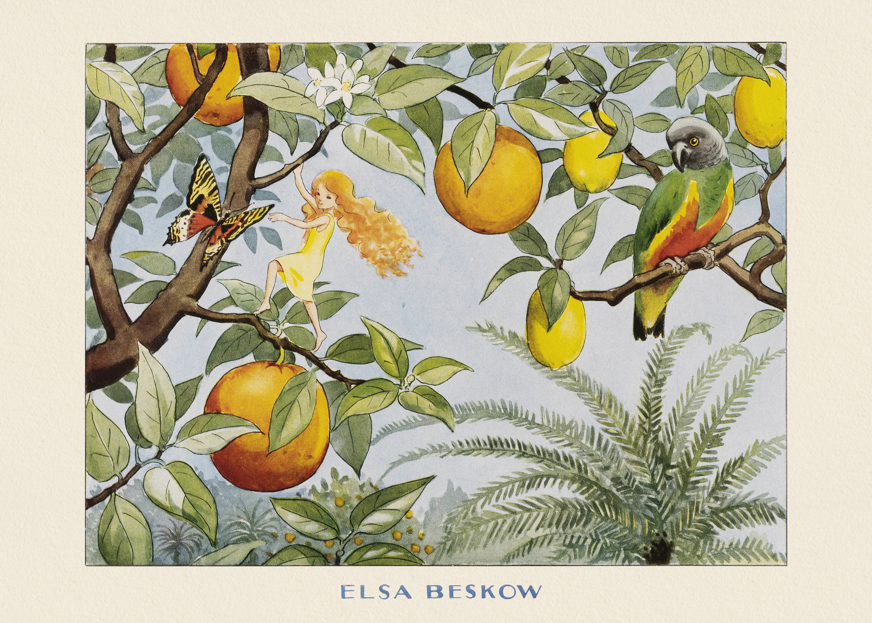 Paraíso Frutal Póster 0