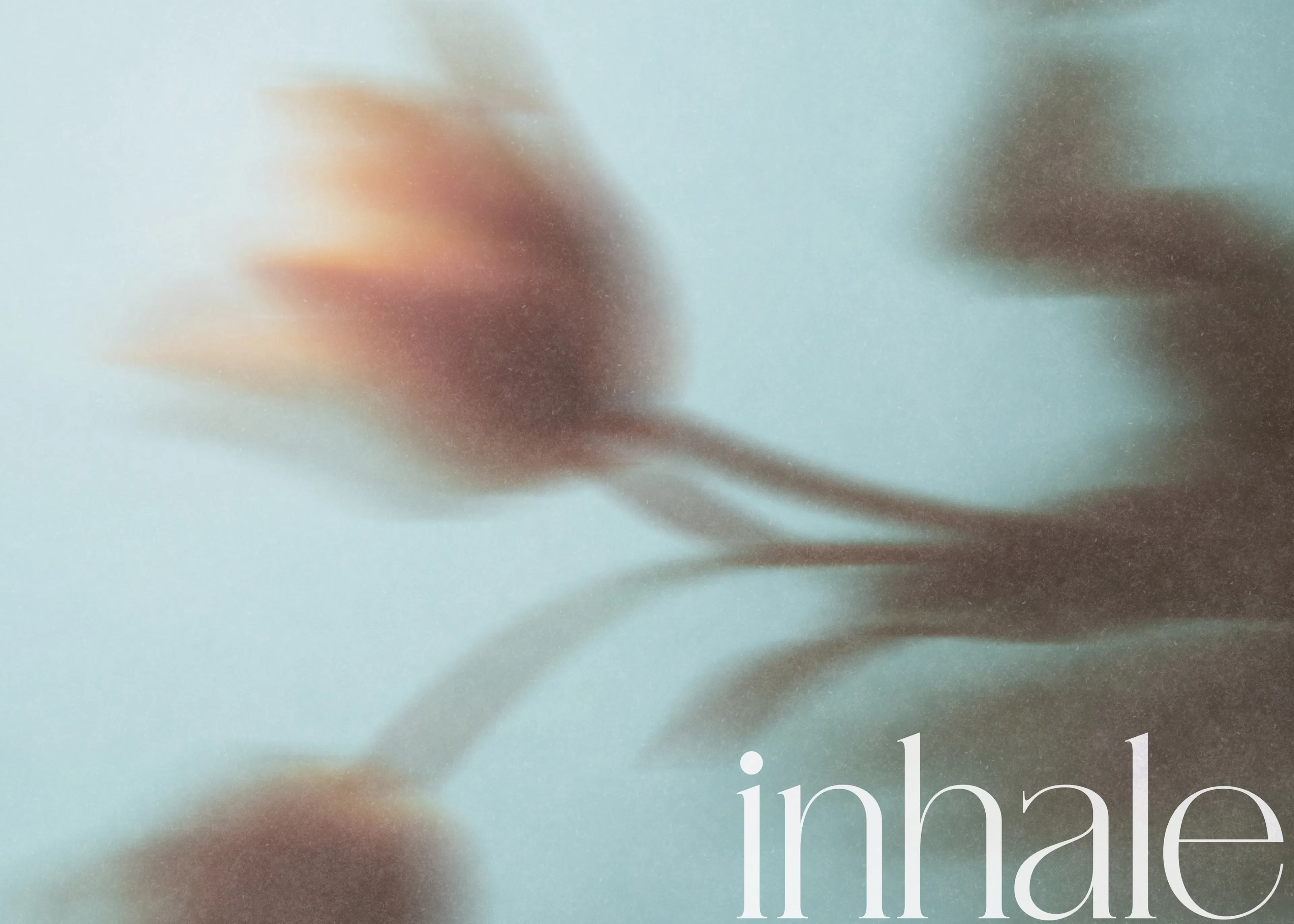Soft Inhale Poster 0