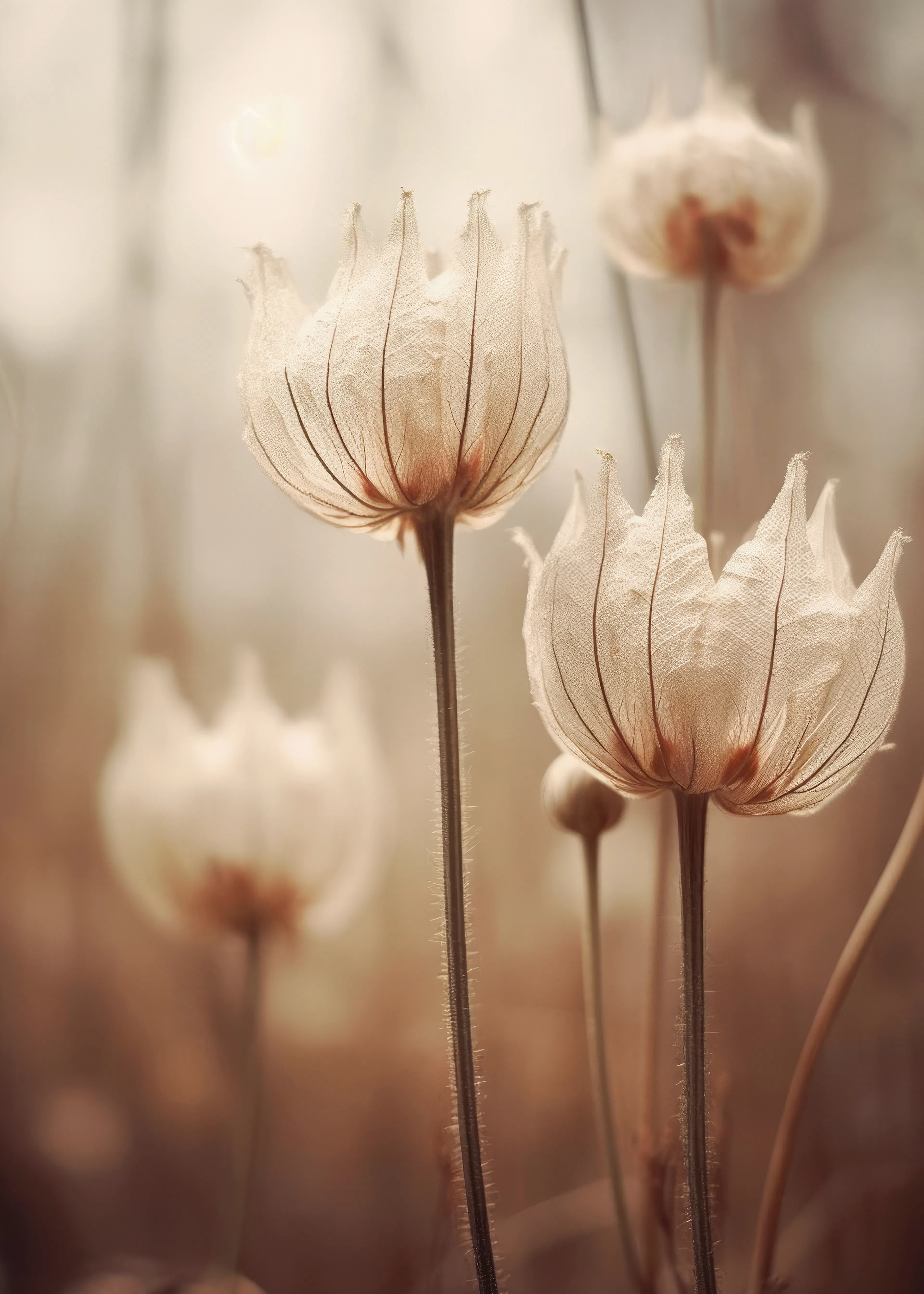Flores Etéreas en Beige Suave Póster 0