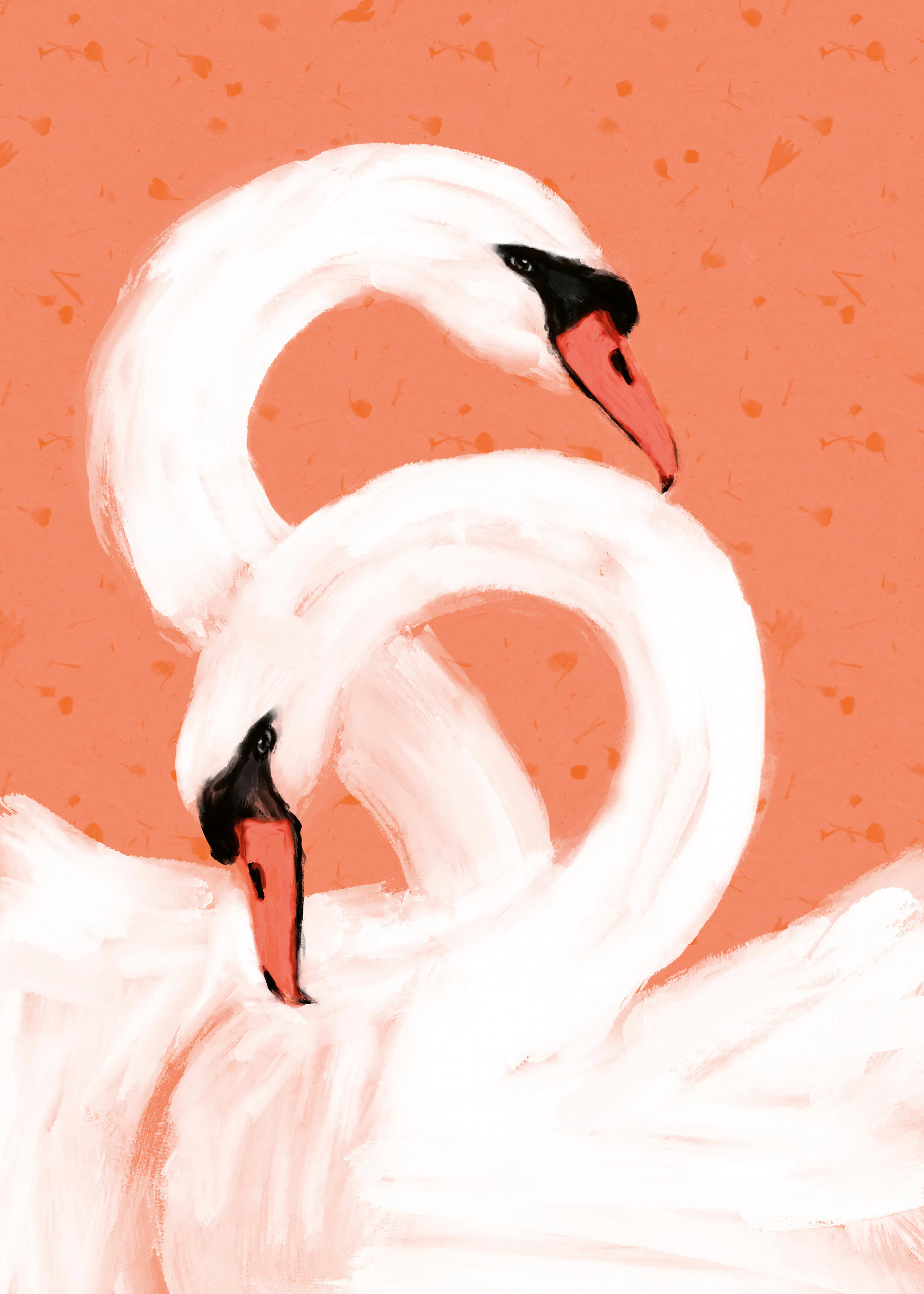 Cisnes Elegantes Póster 0