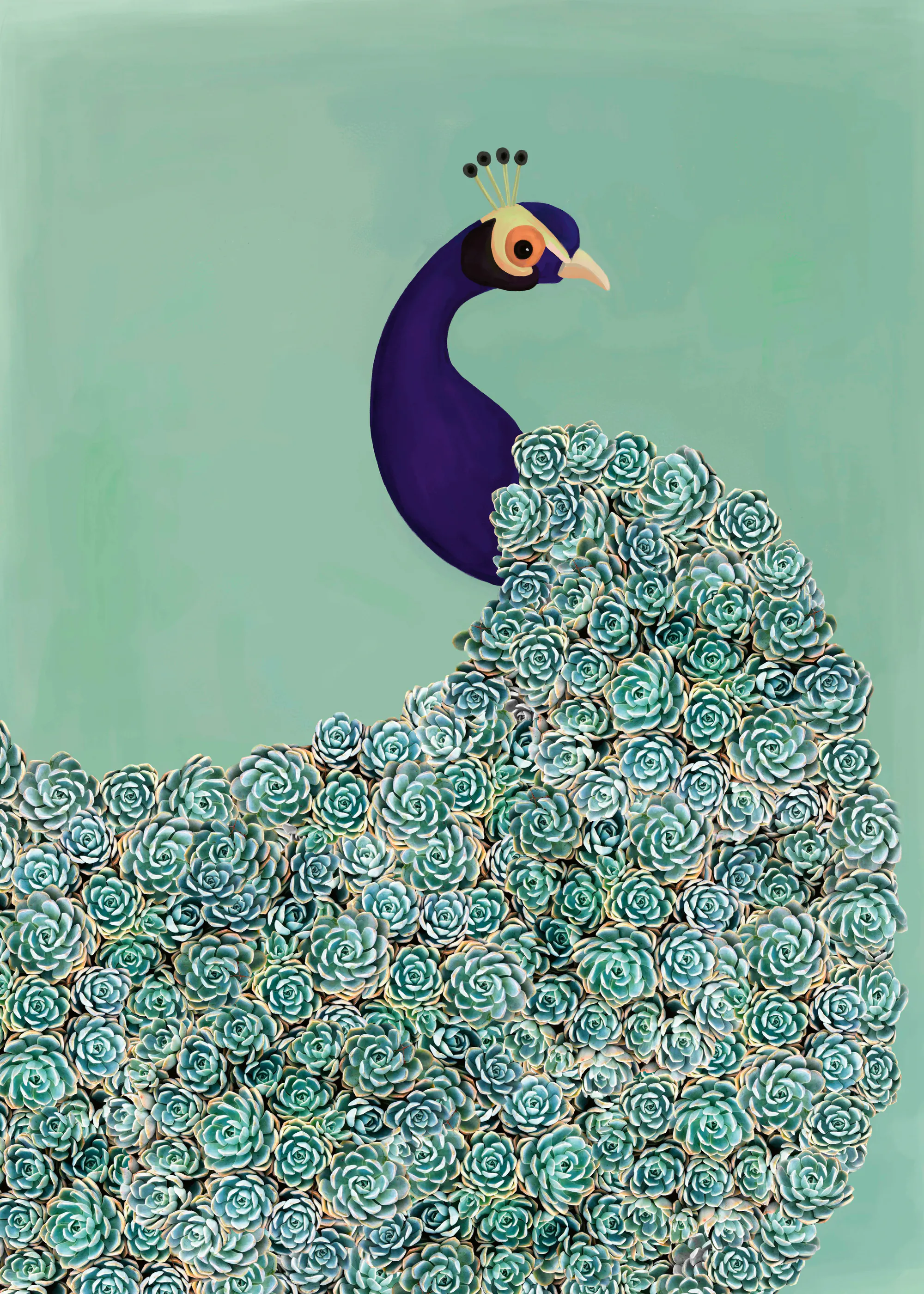 Paon Majestueux Poster 0