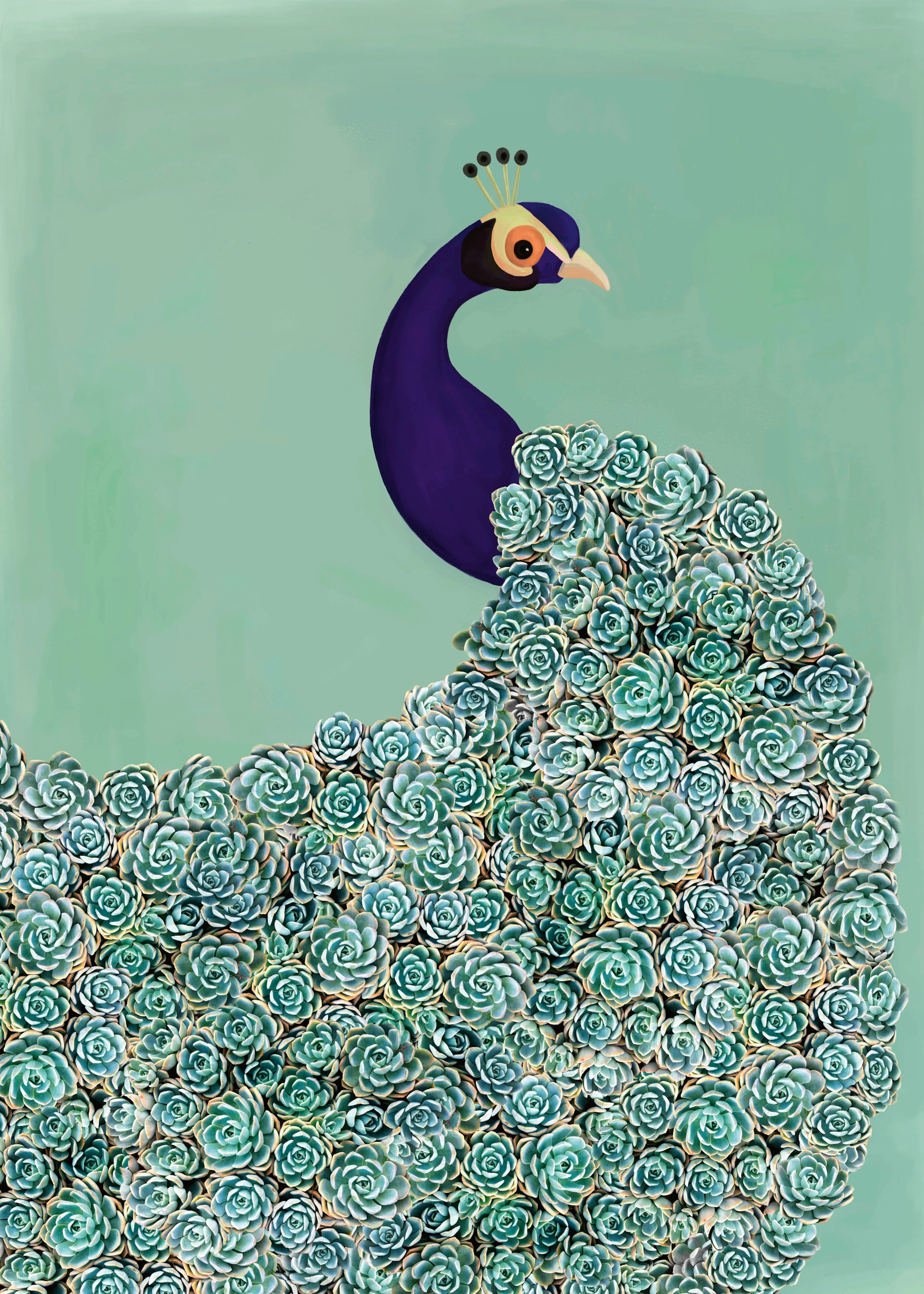 Majestic Peacock Poster 0
