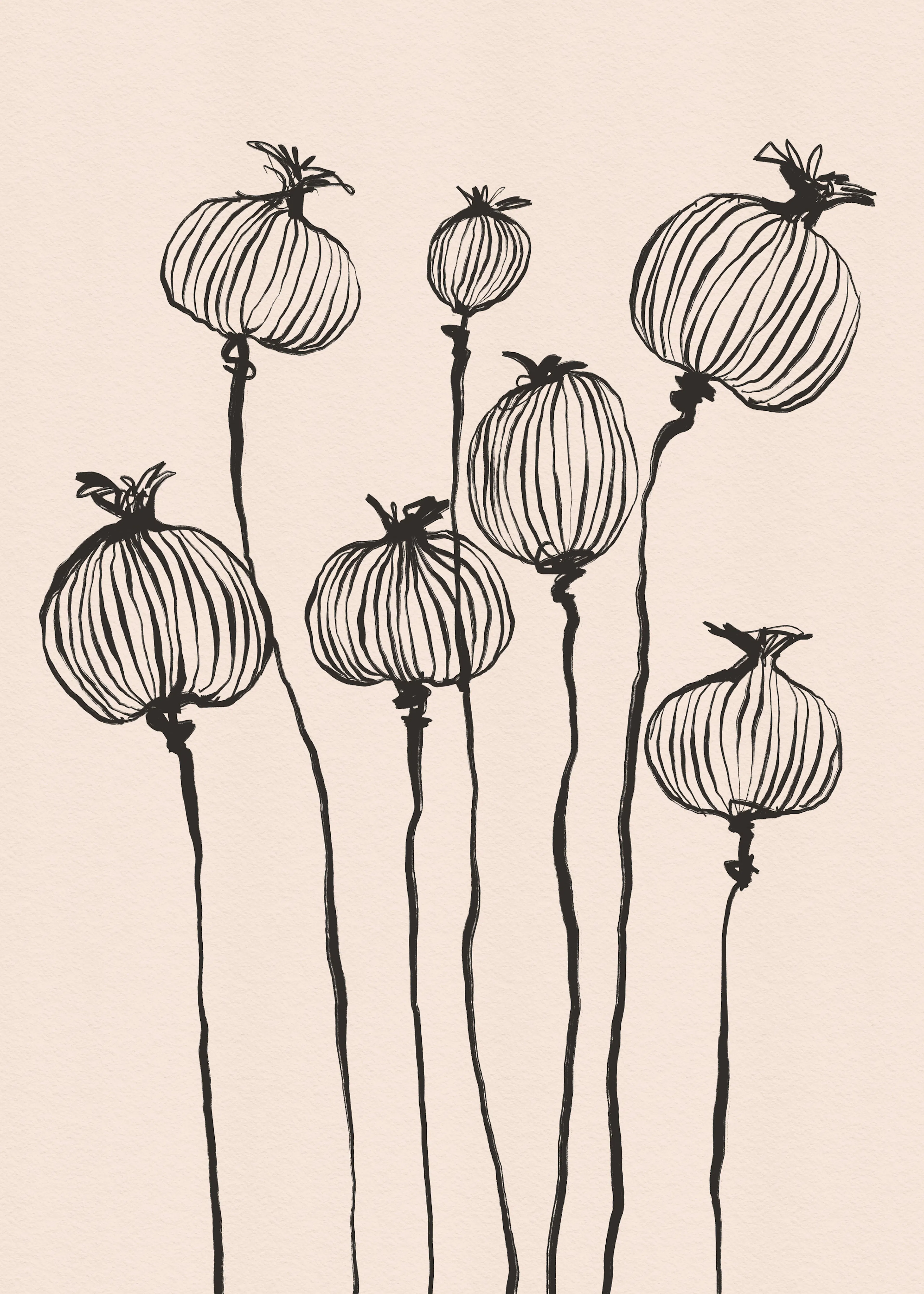 Delicate Pods Poster 0