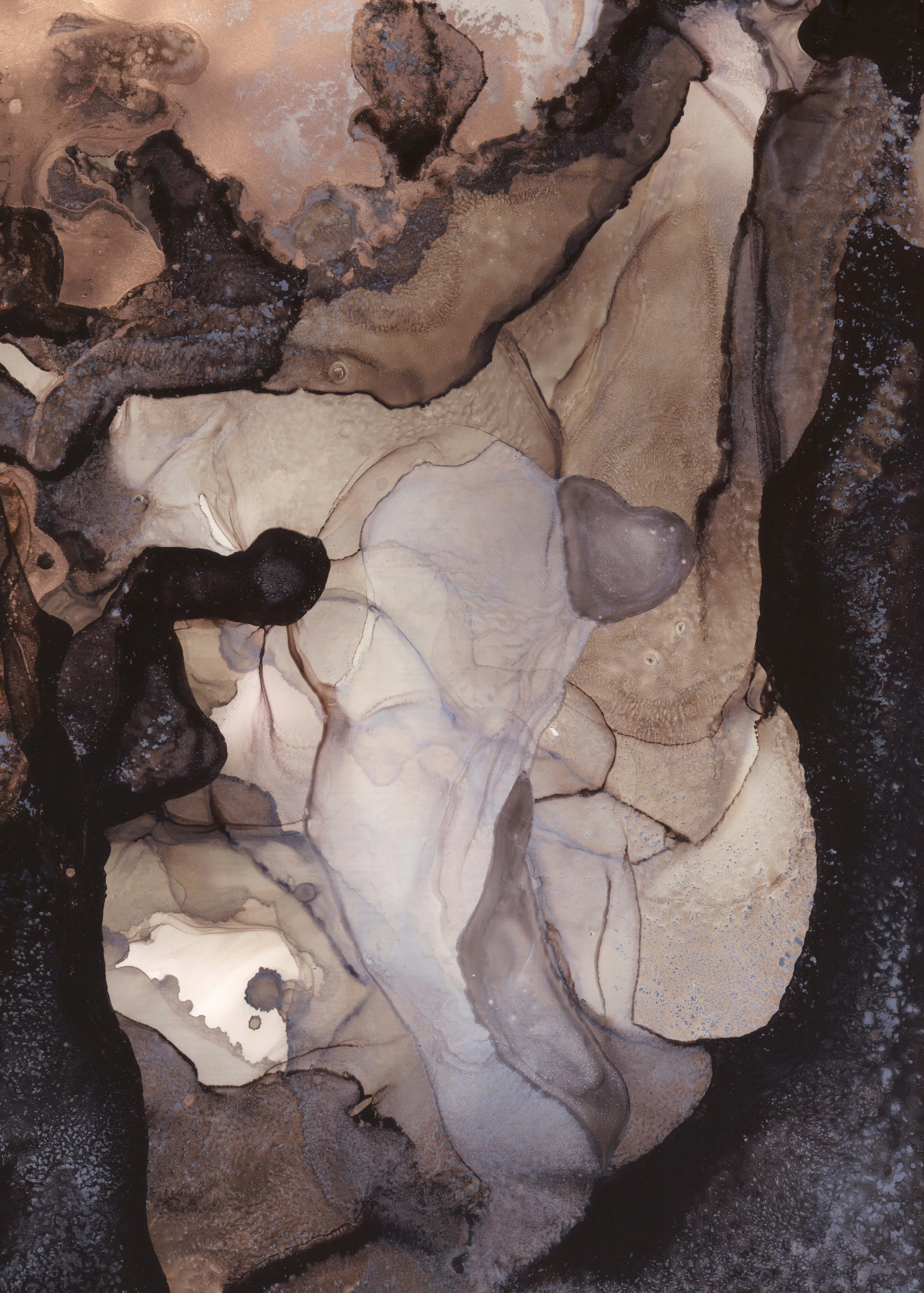 Ancient Cave Art Poster 0