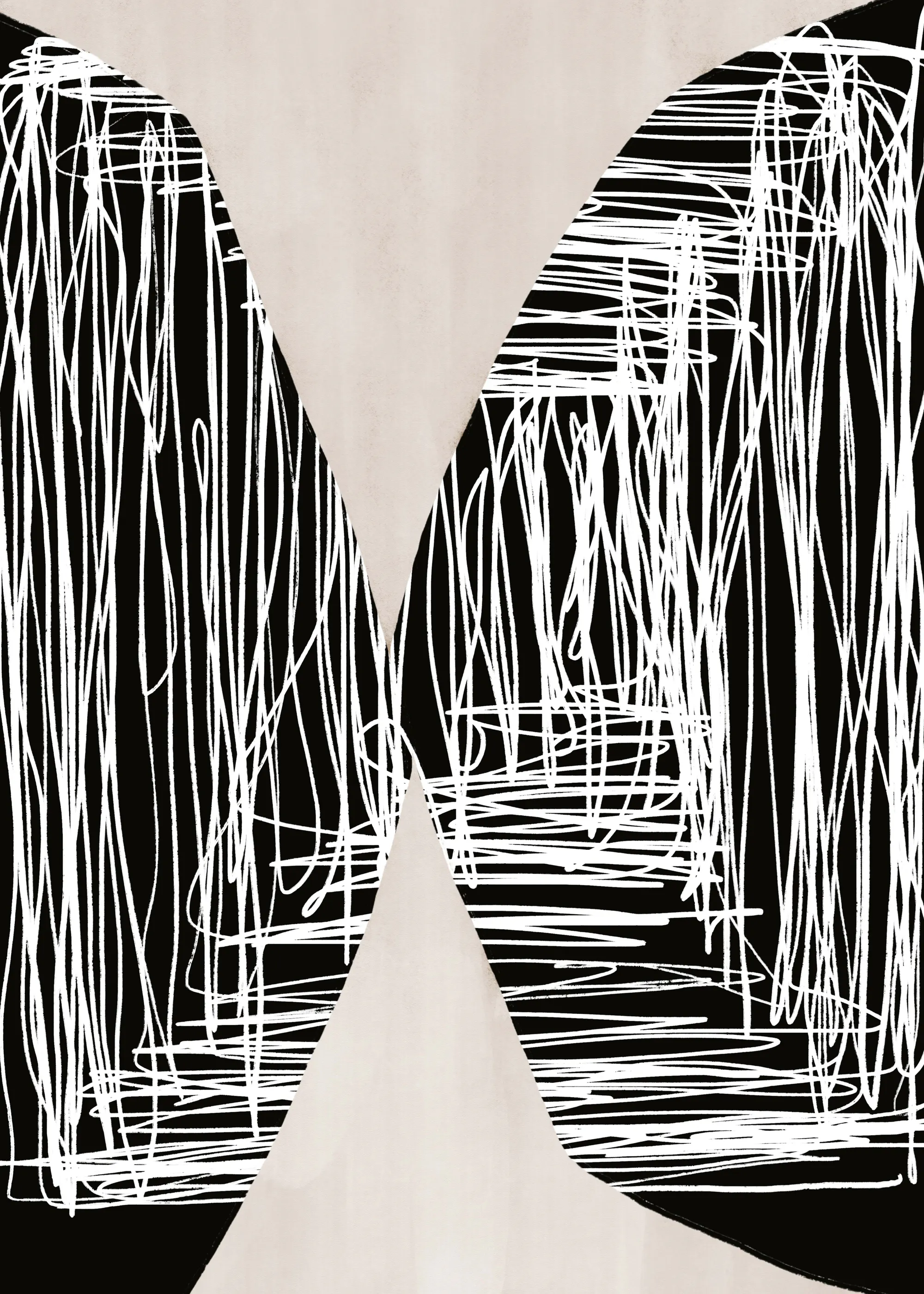 Courbes Abstraites Noires Poster 0