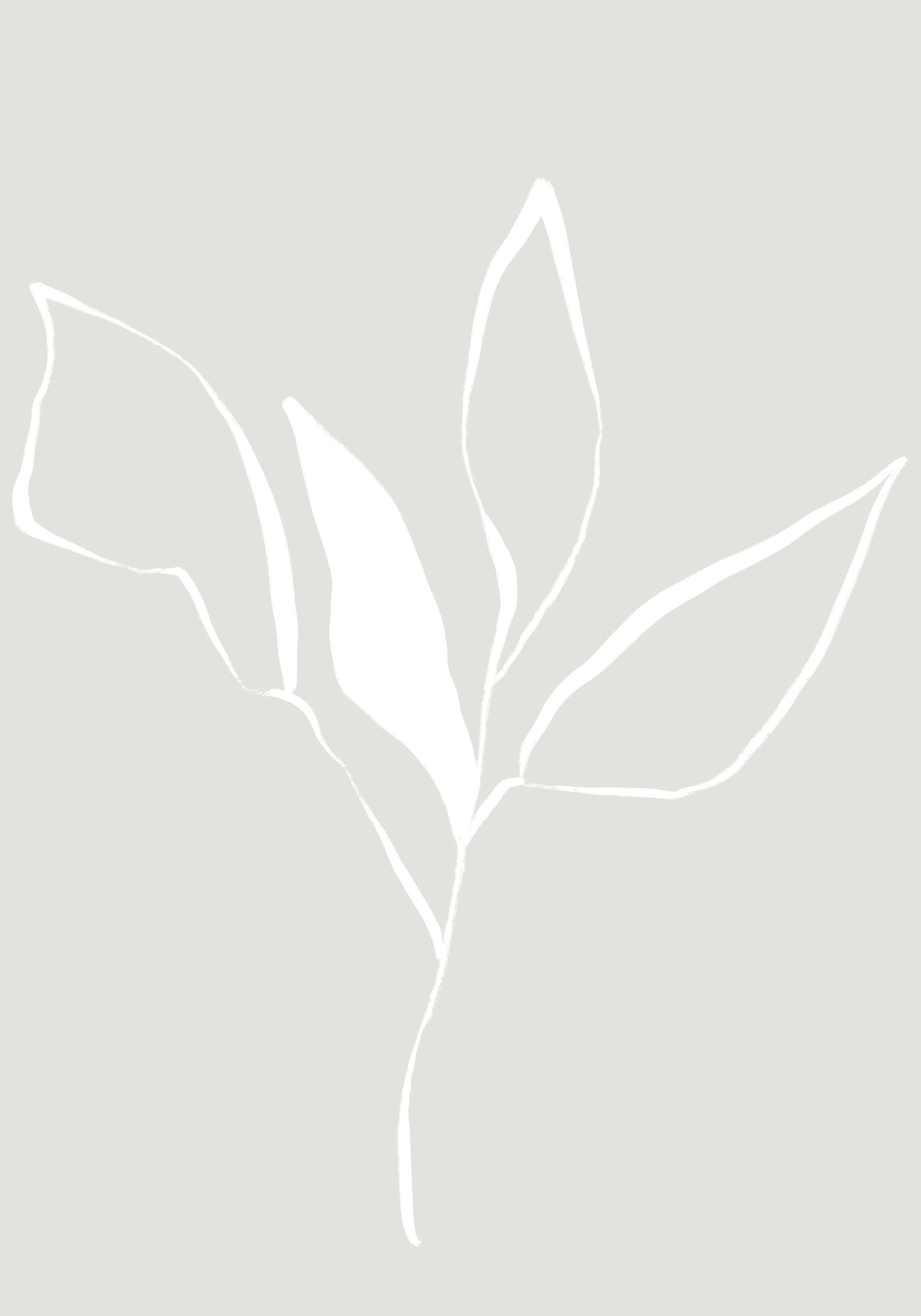 Product image: 1
