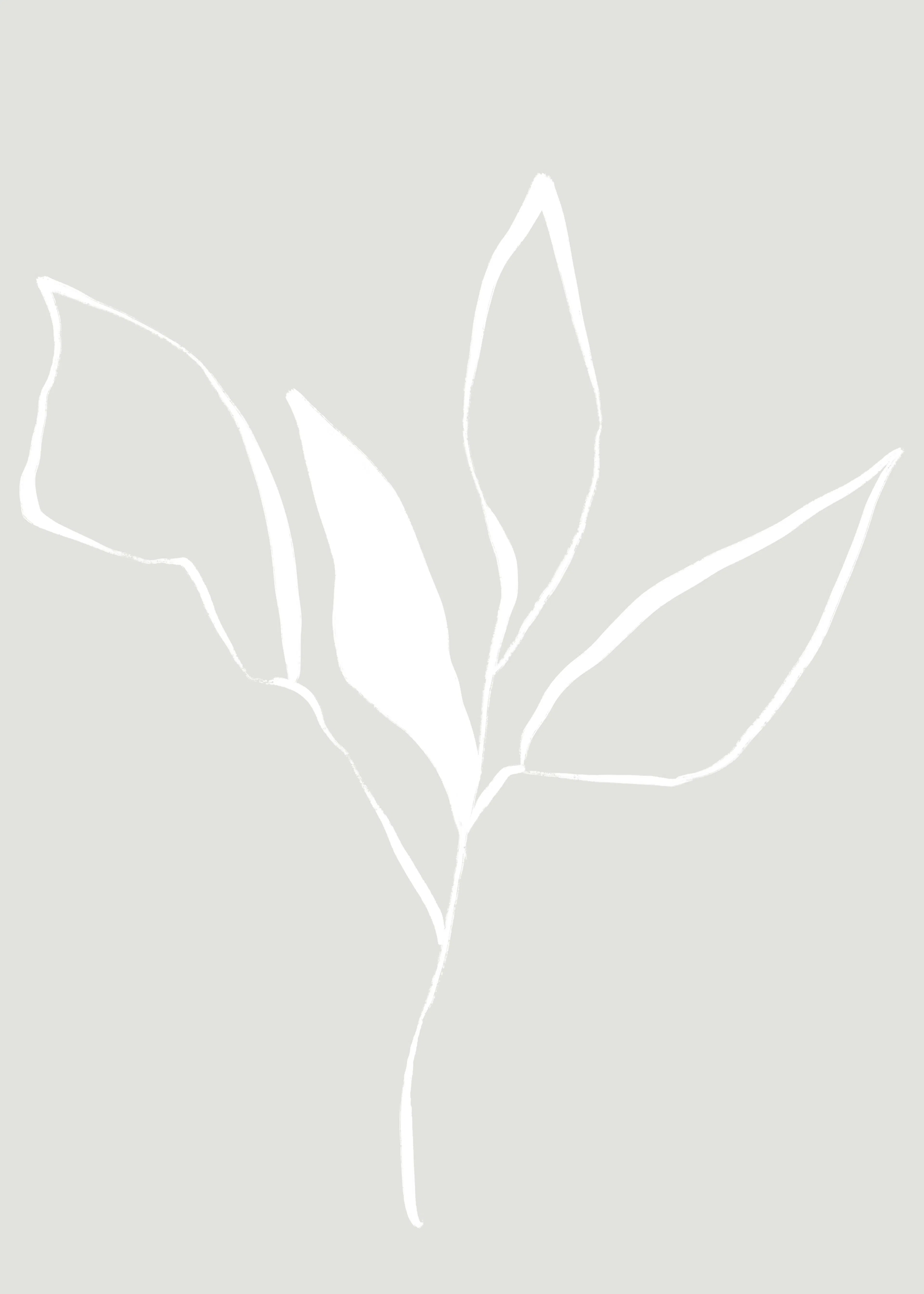 Gray Minimalist Leaf Poster 0