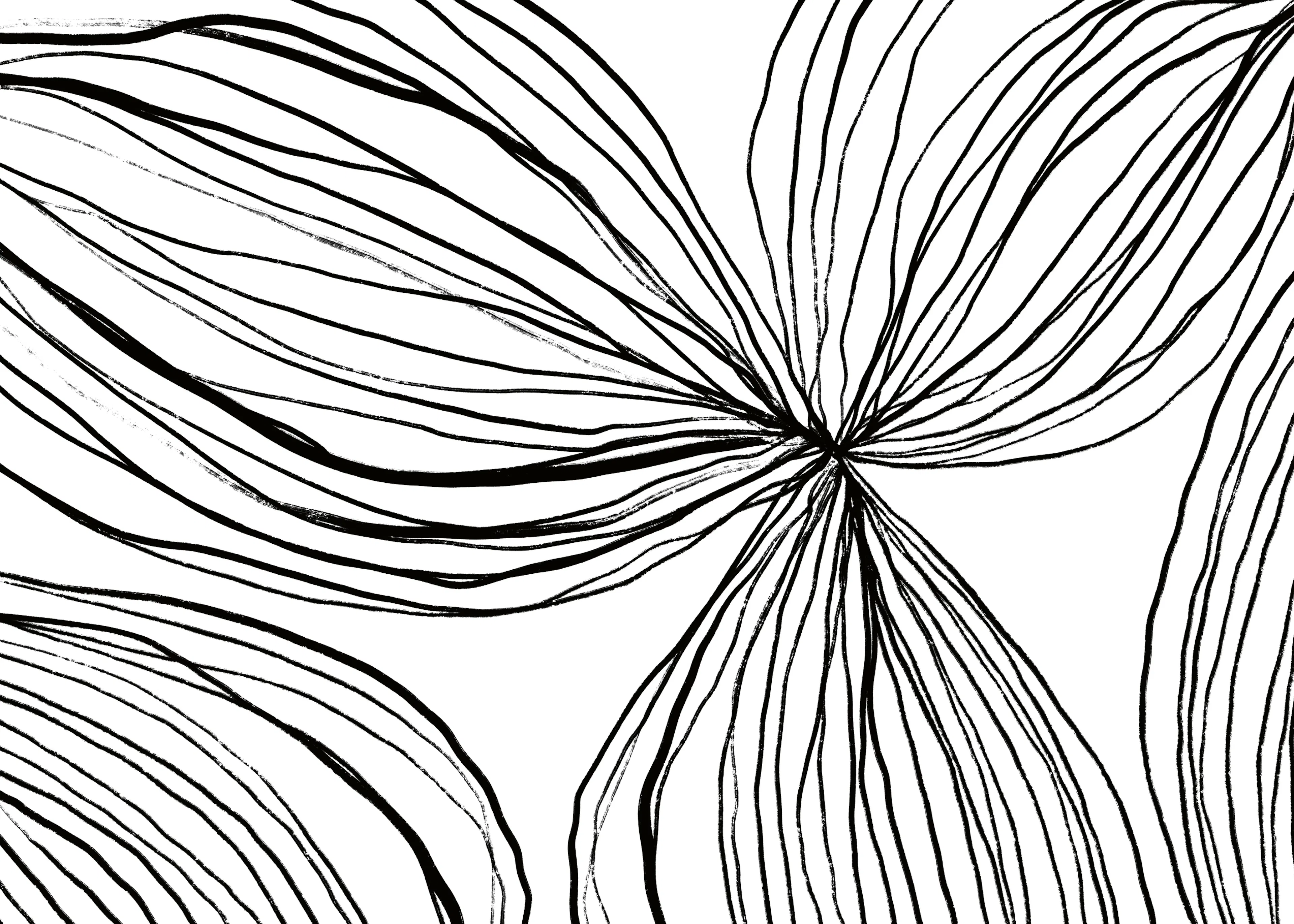 Elegant Ebony Lines Poster 0