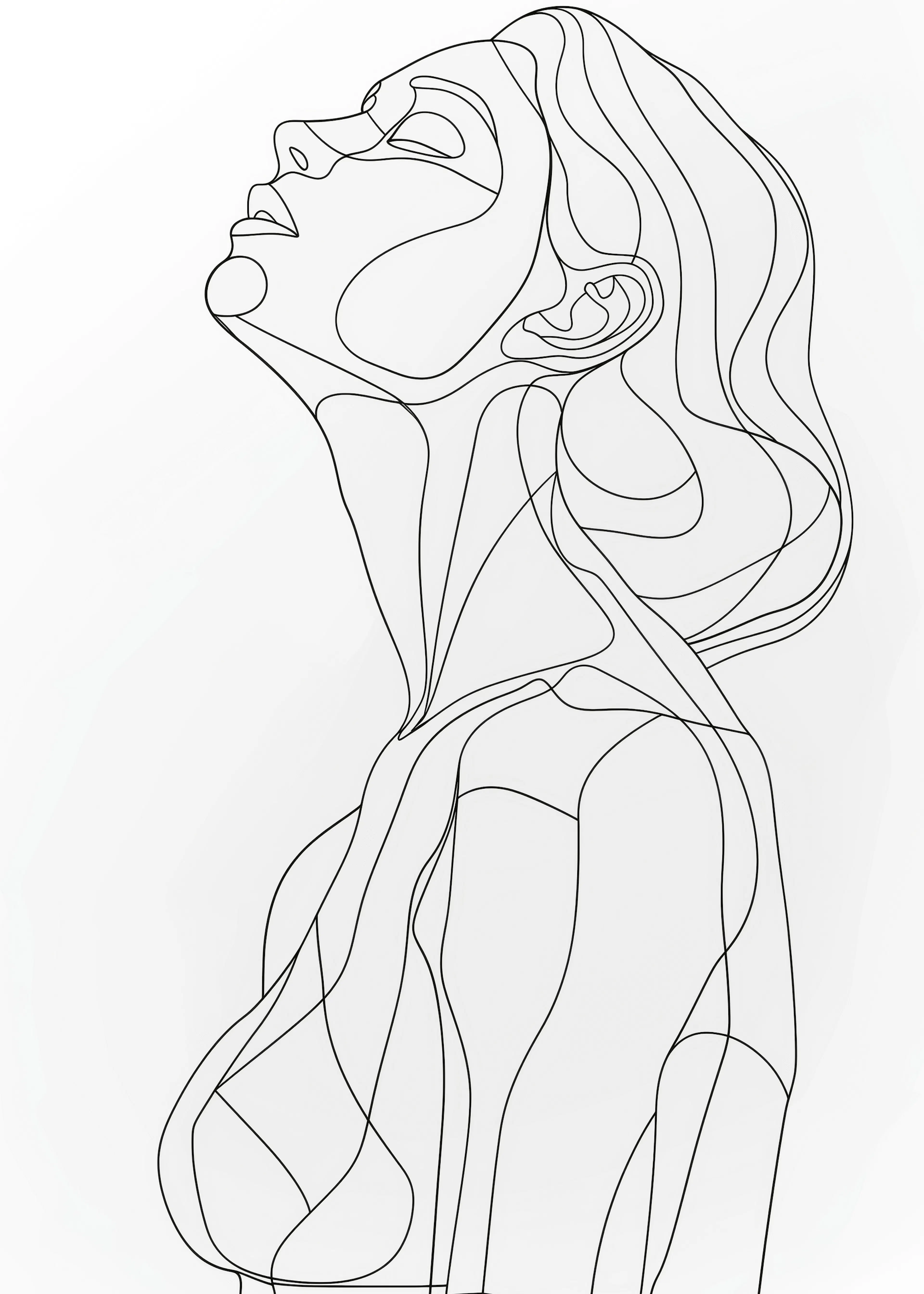 Líneas Elegantes Póster 0