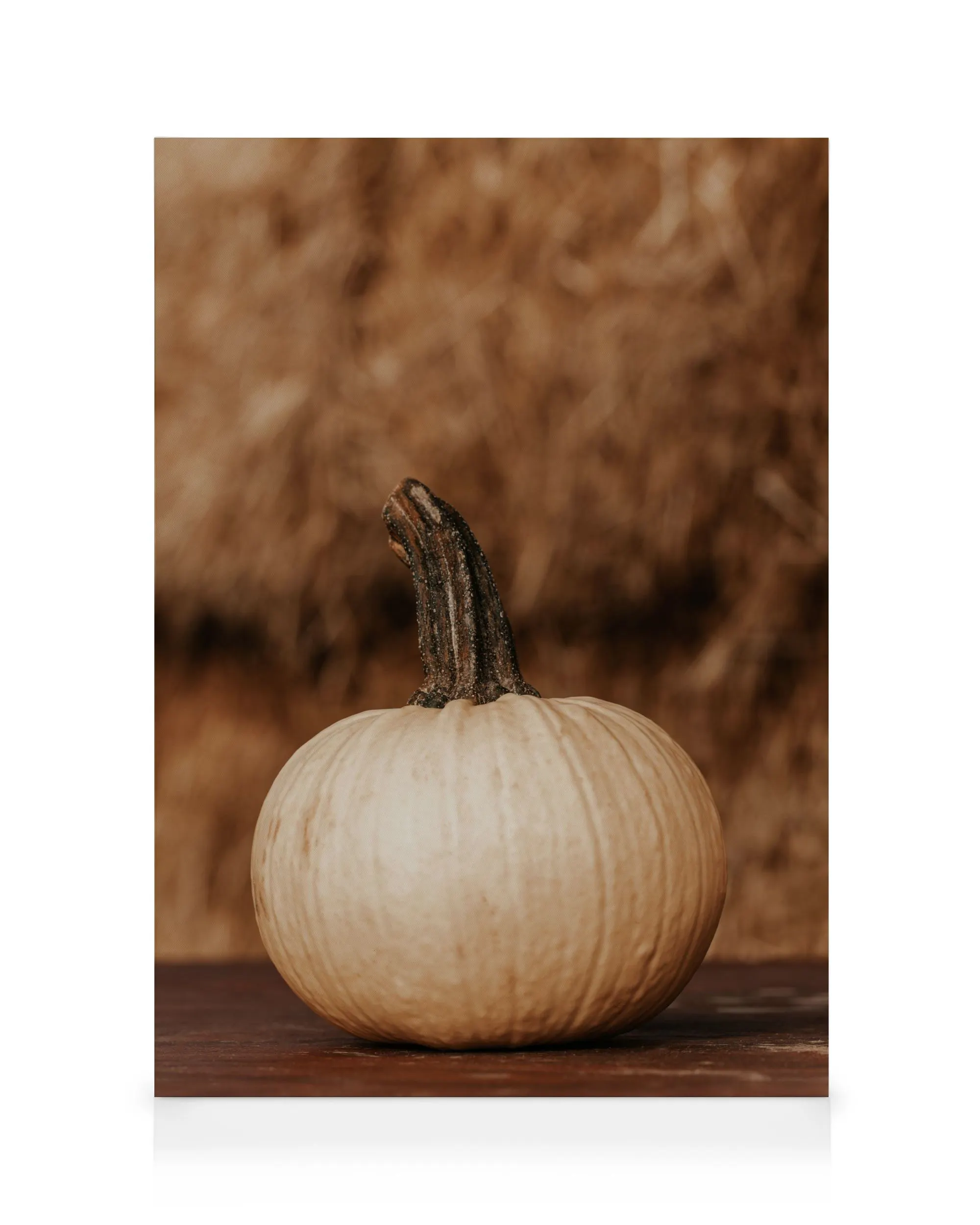 Raccolto di Zucca Bianca Stampa su Tela 0
