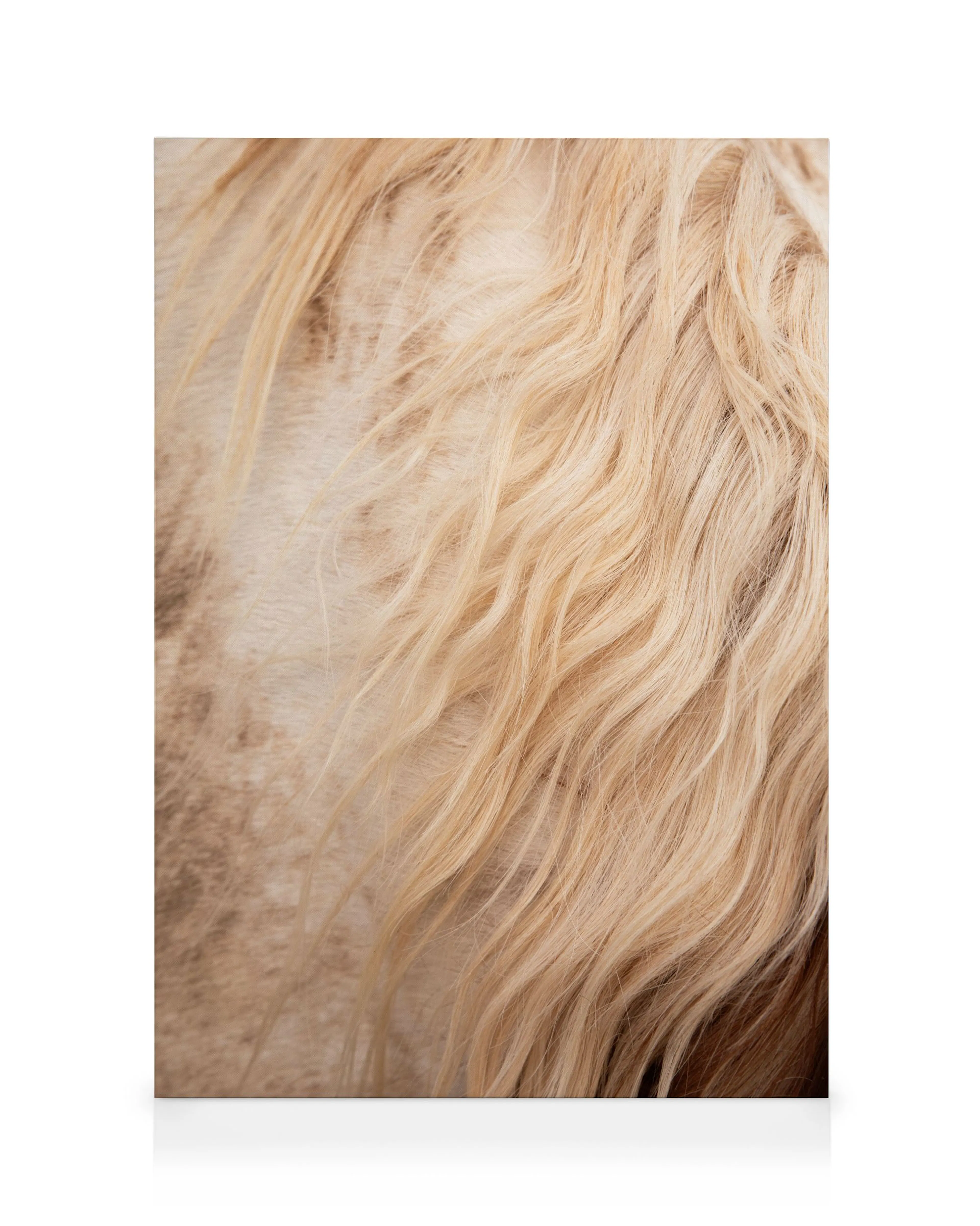 Texture Capelli Biondi Stampa su tela 0
