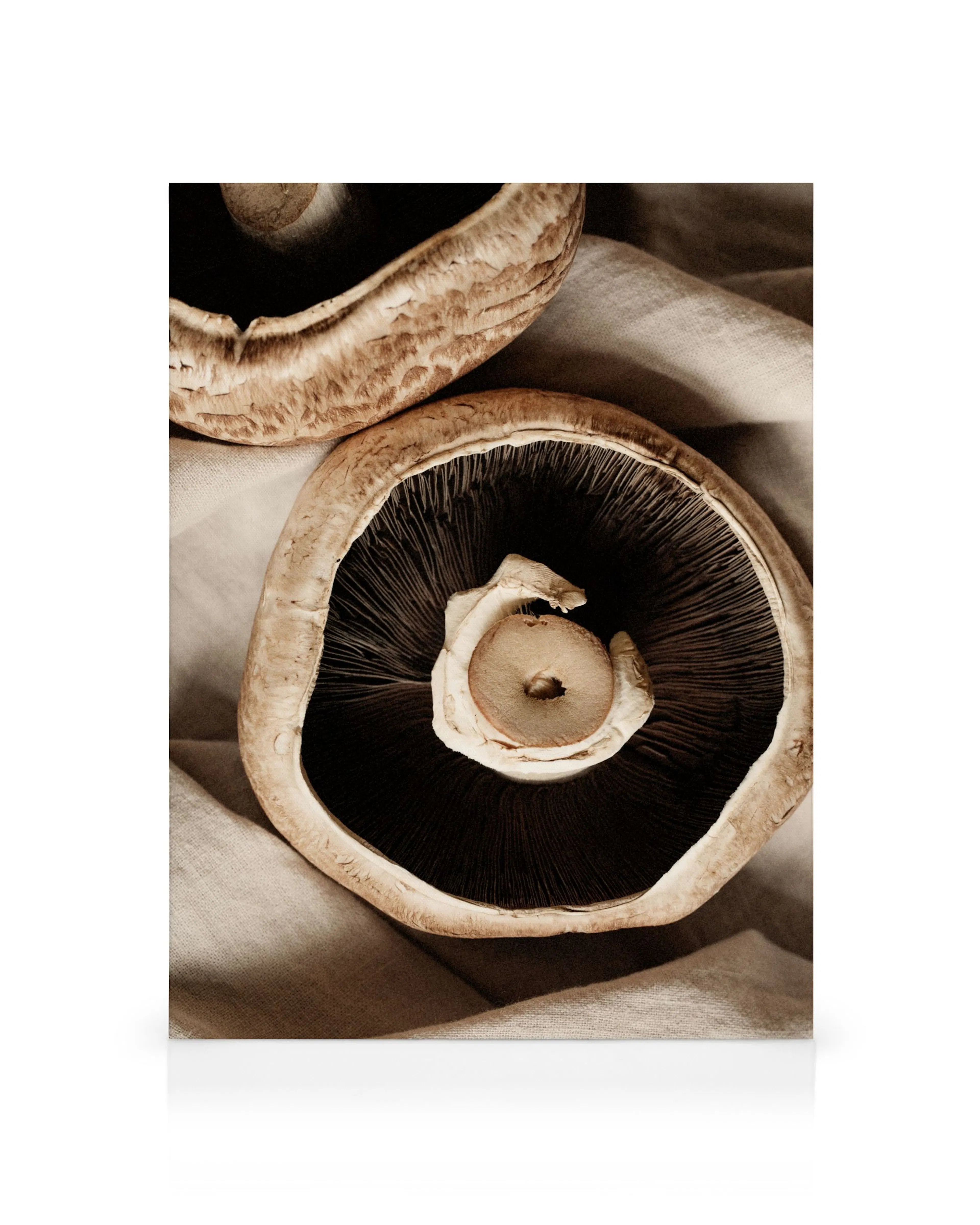 Product image: 1