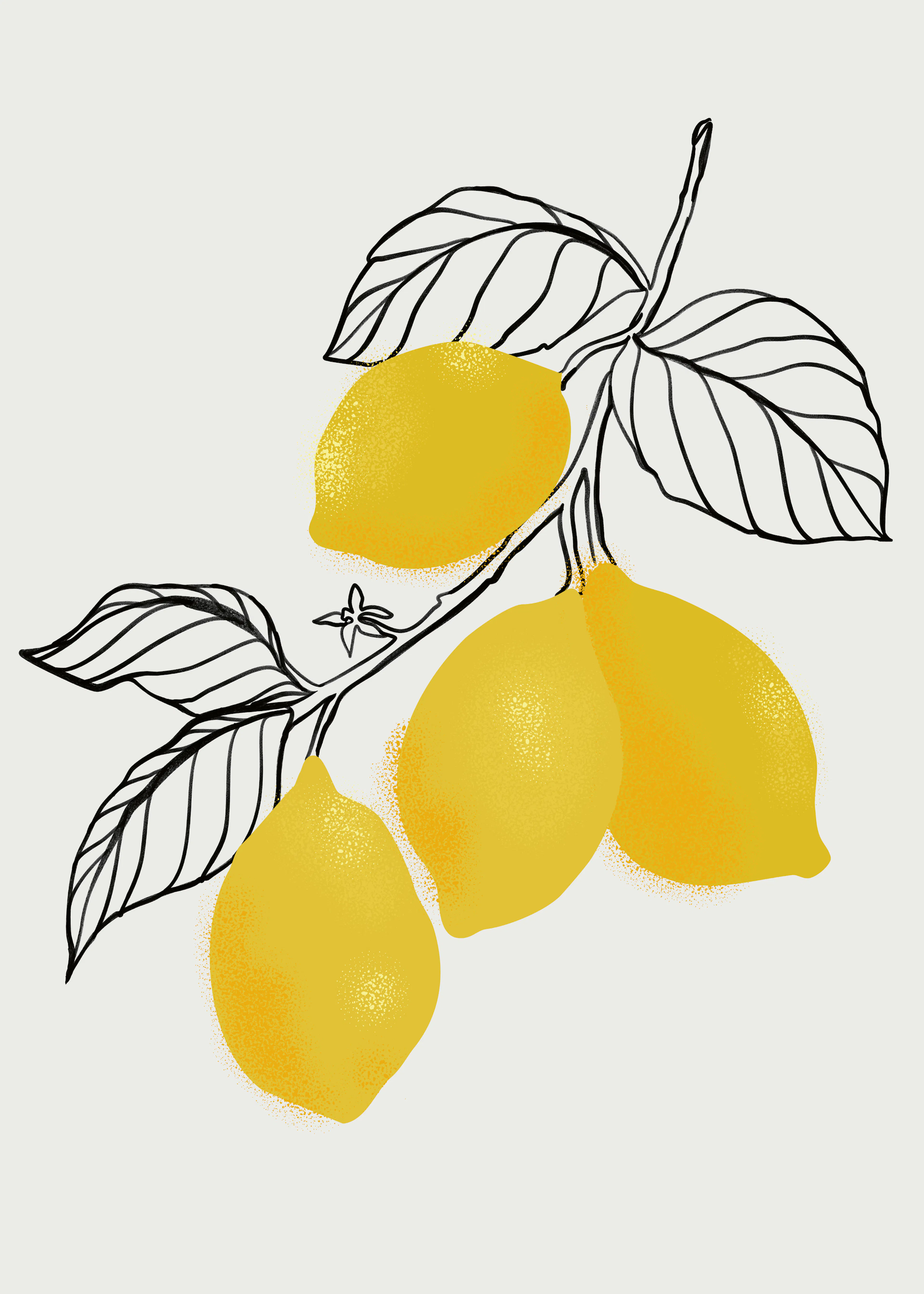 Yellow Lemon Branch Poster 0