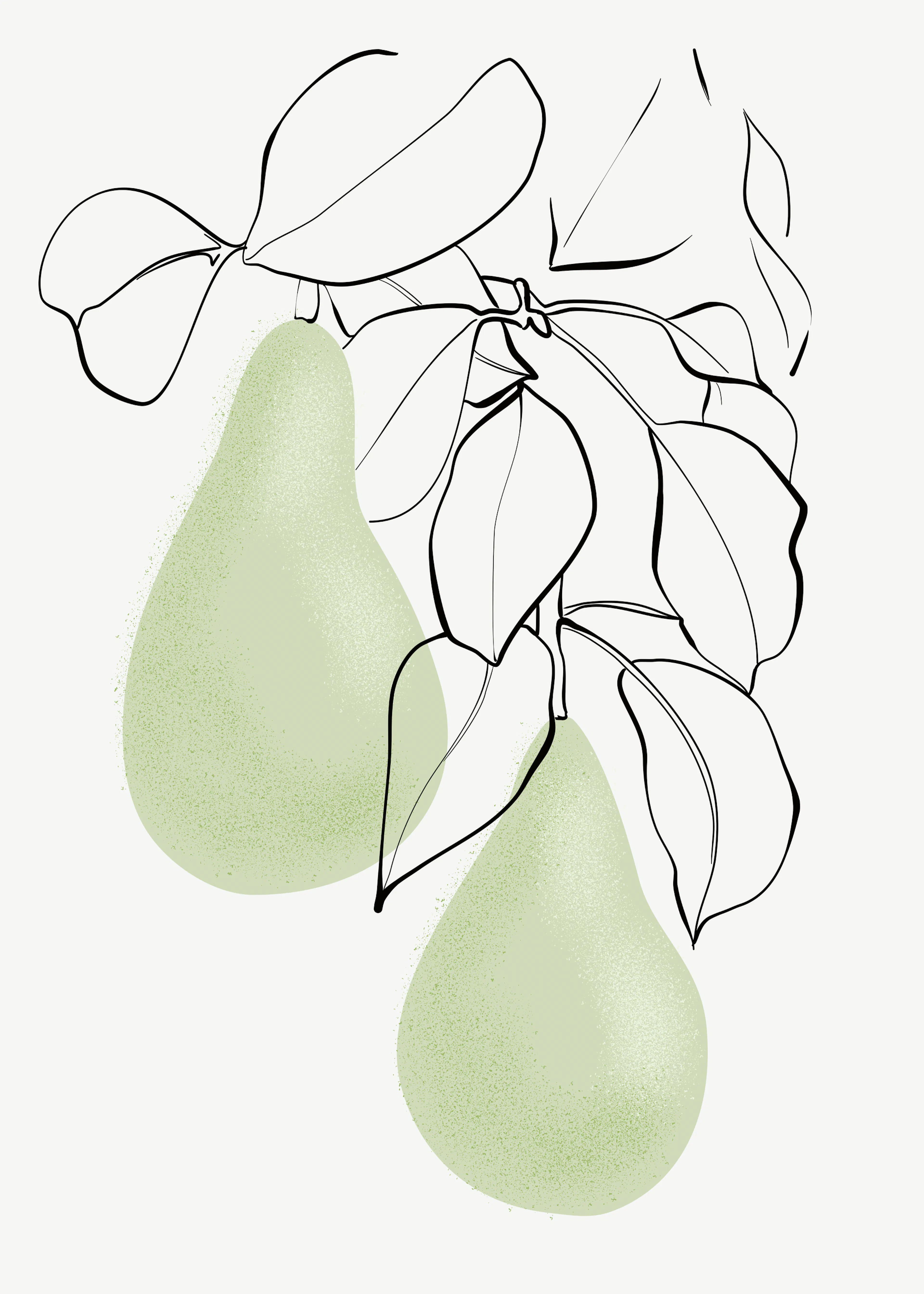 Green Pear Elegance Poster 0