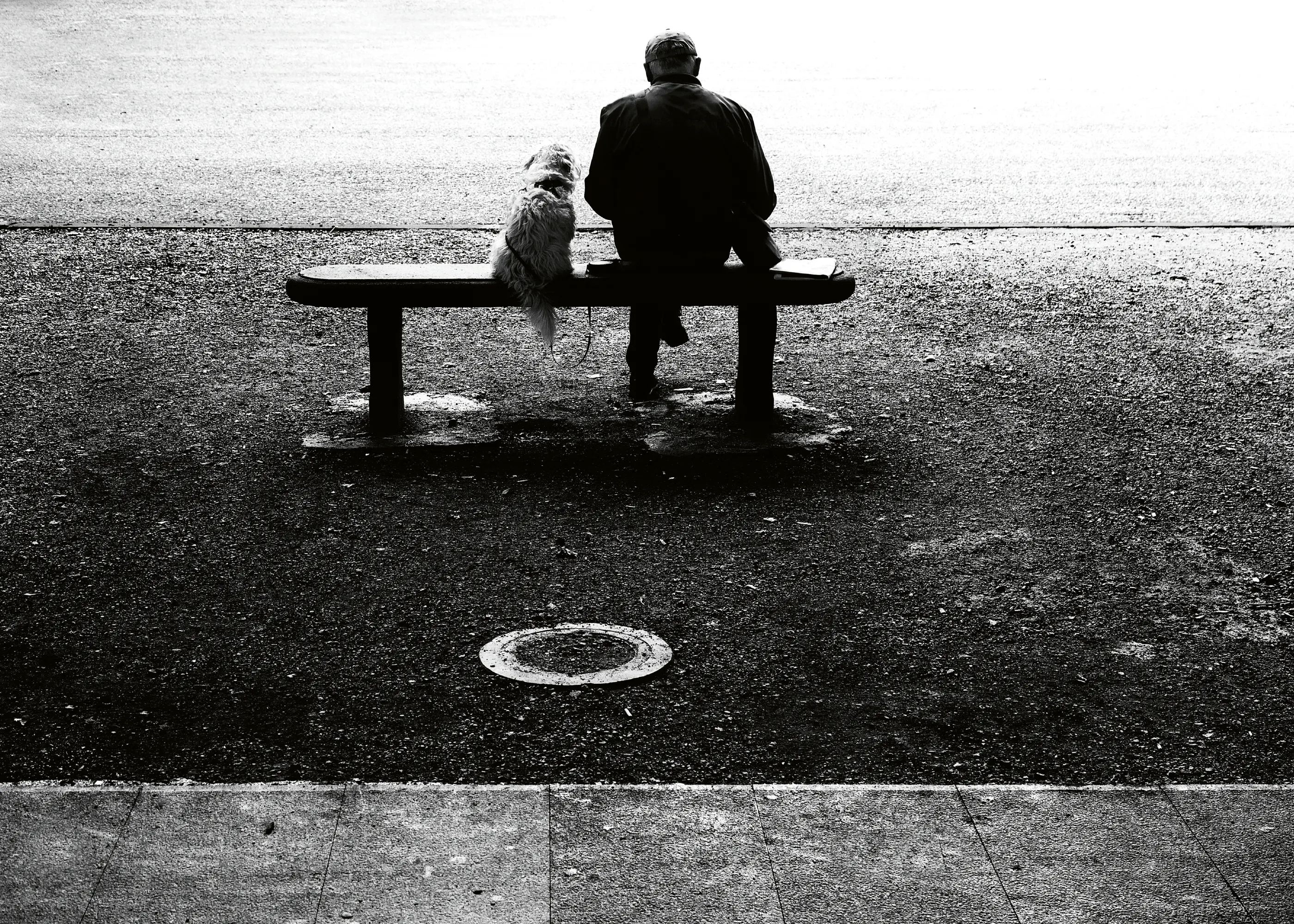 Silent Companionship Poster 0