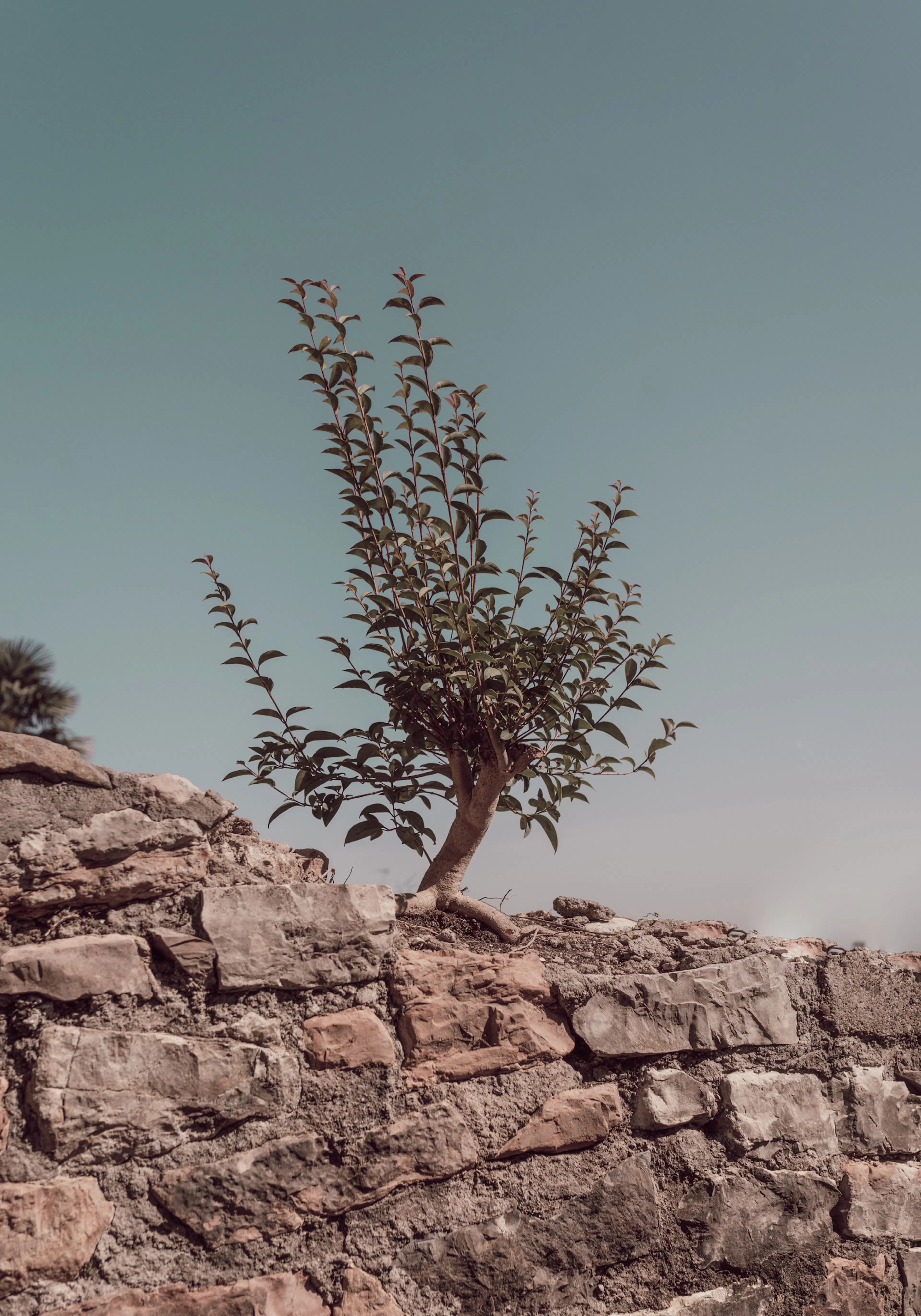 Product image: 1