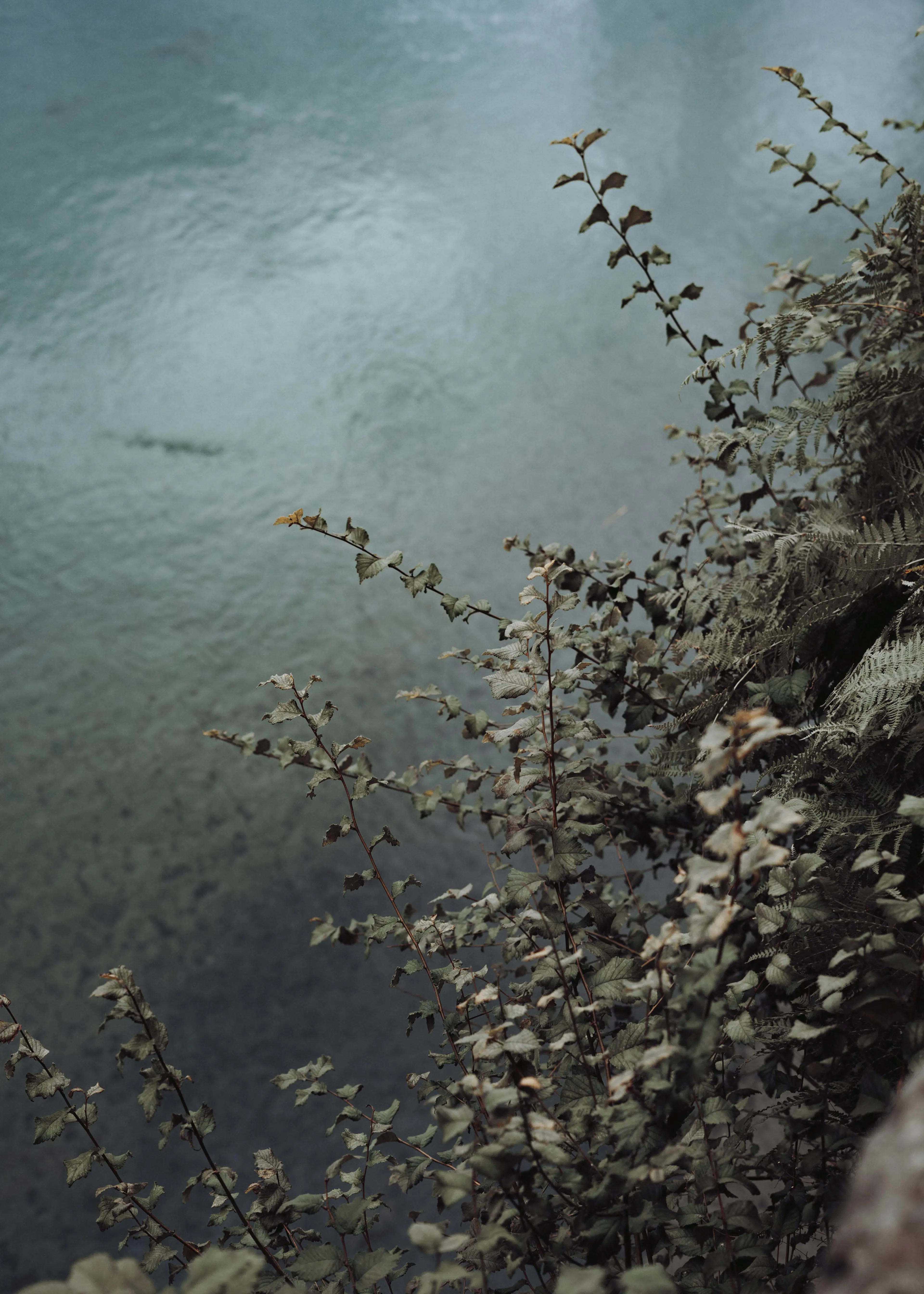 Serene Waters Poster 0