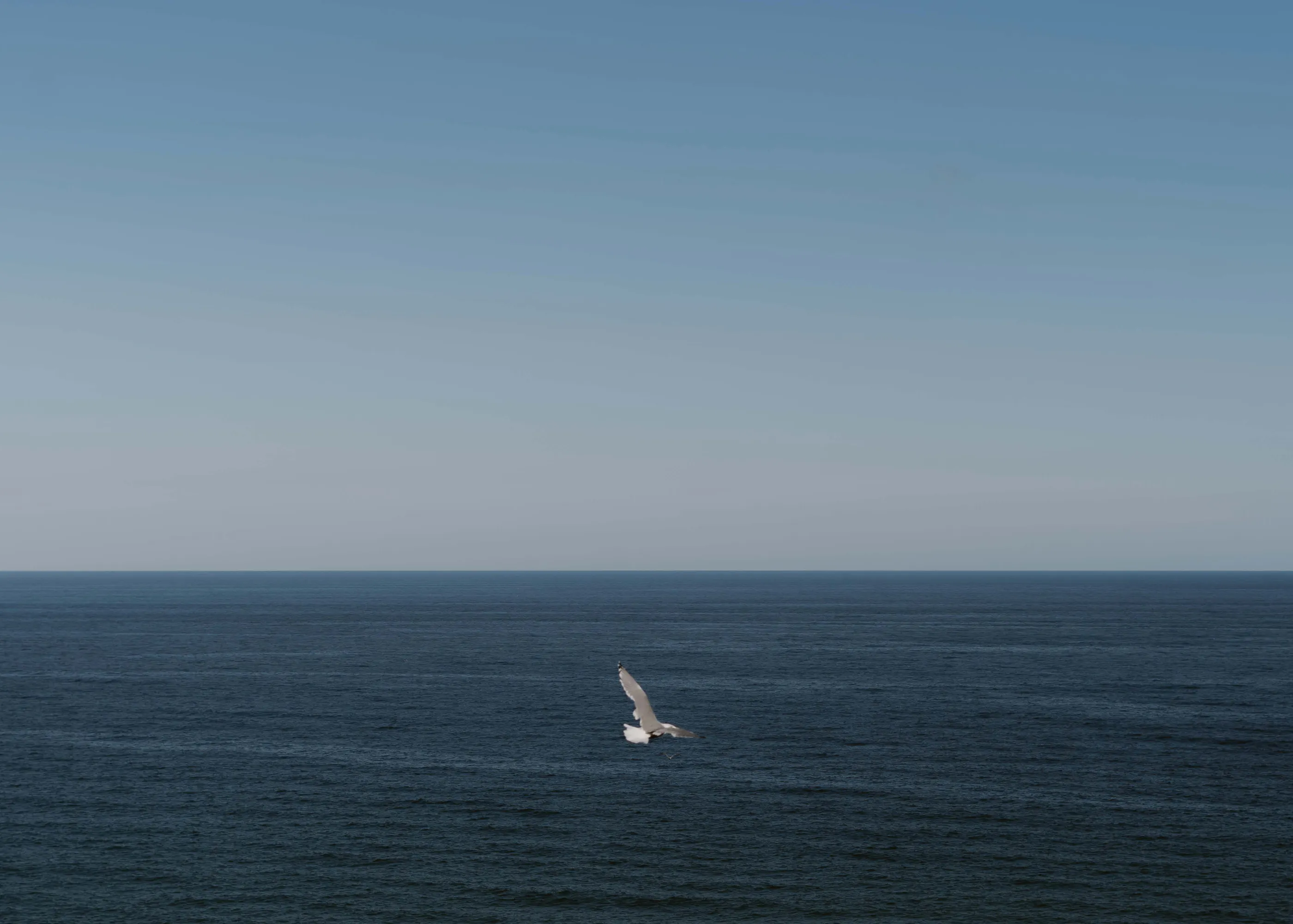 Deep Blue Ocean Serenity Poster 0