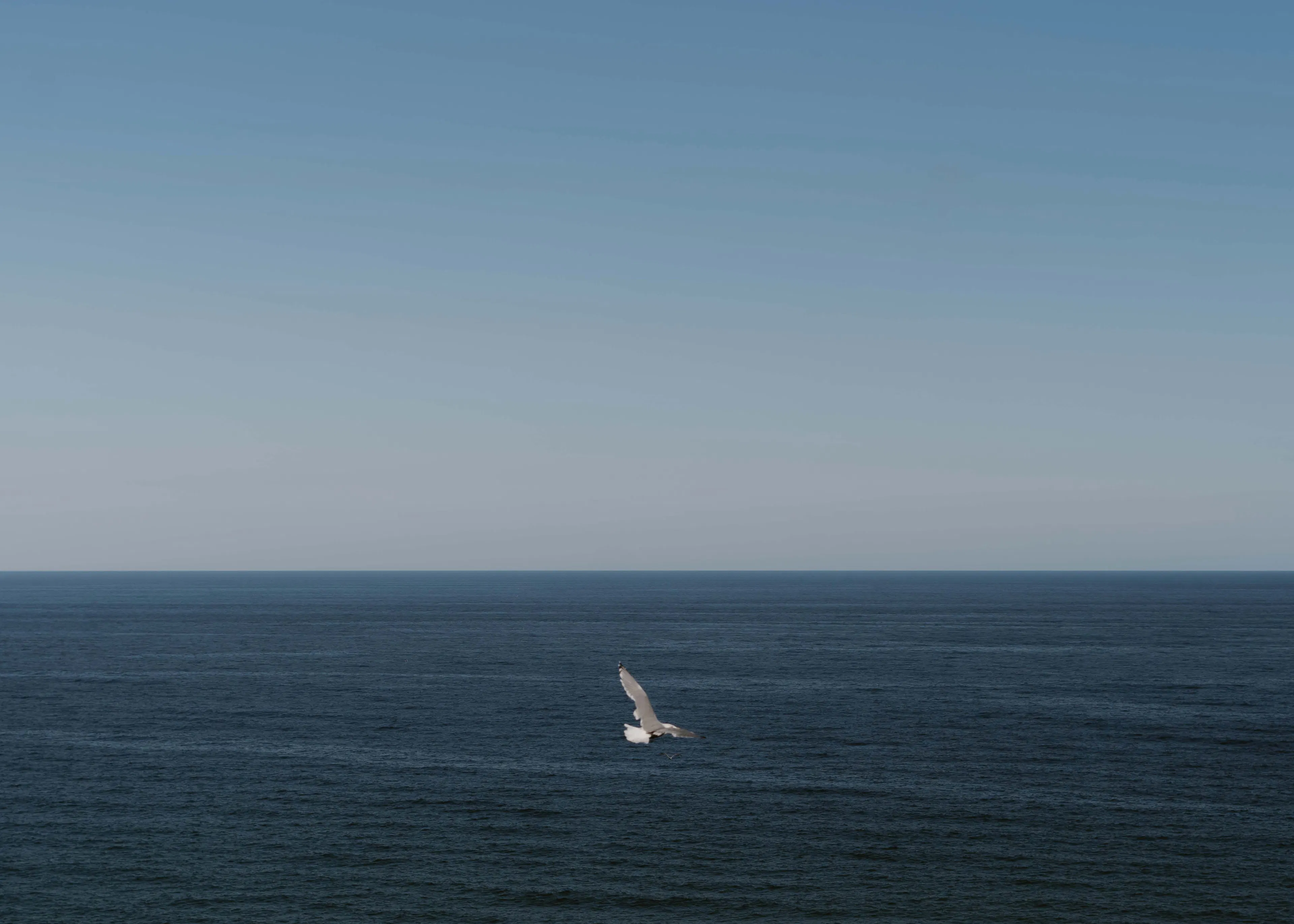 Serenidad del Océano Azul Profundo Póster 0