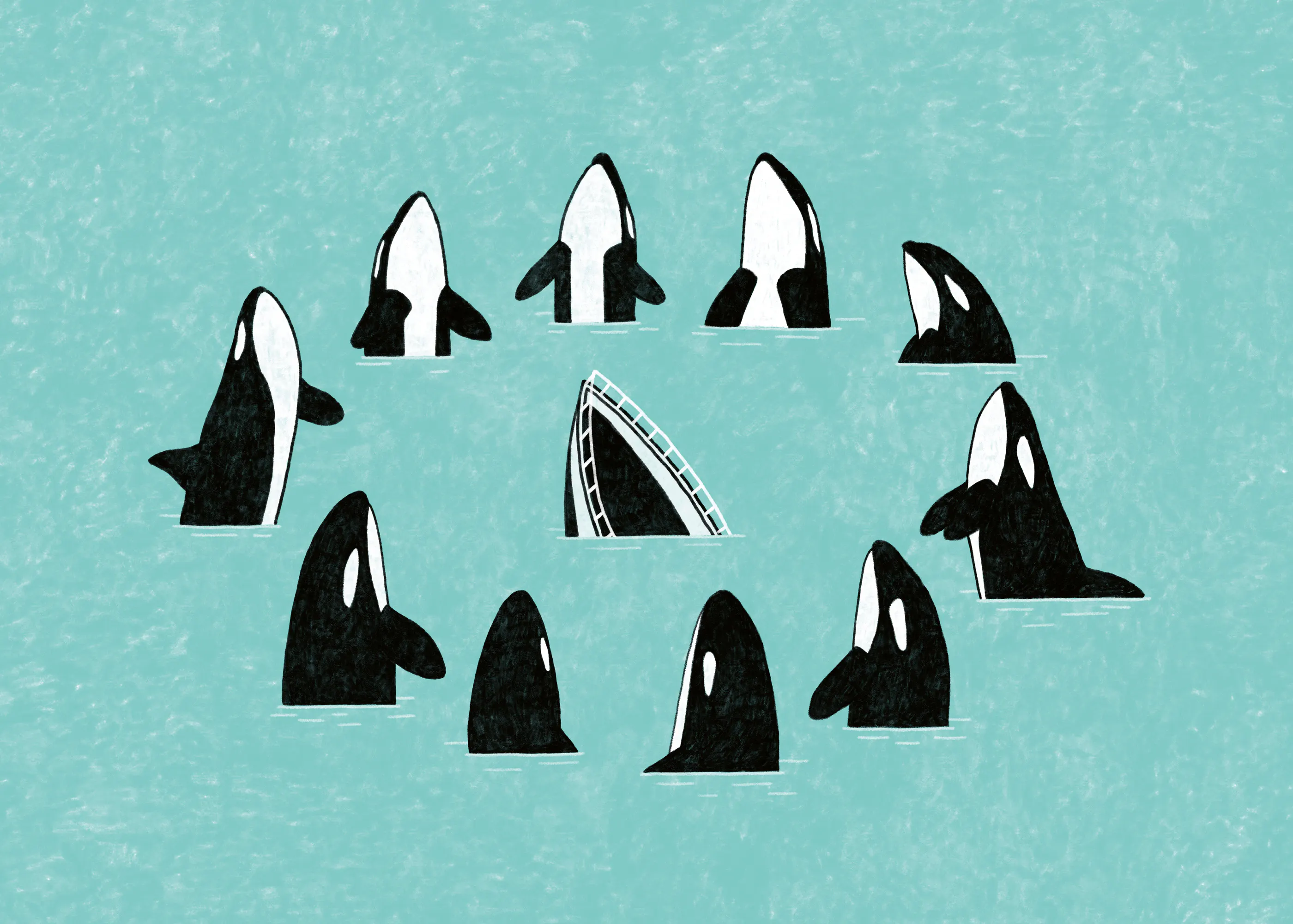 Circle Of Orcas Poster 0