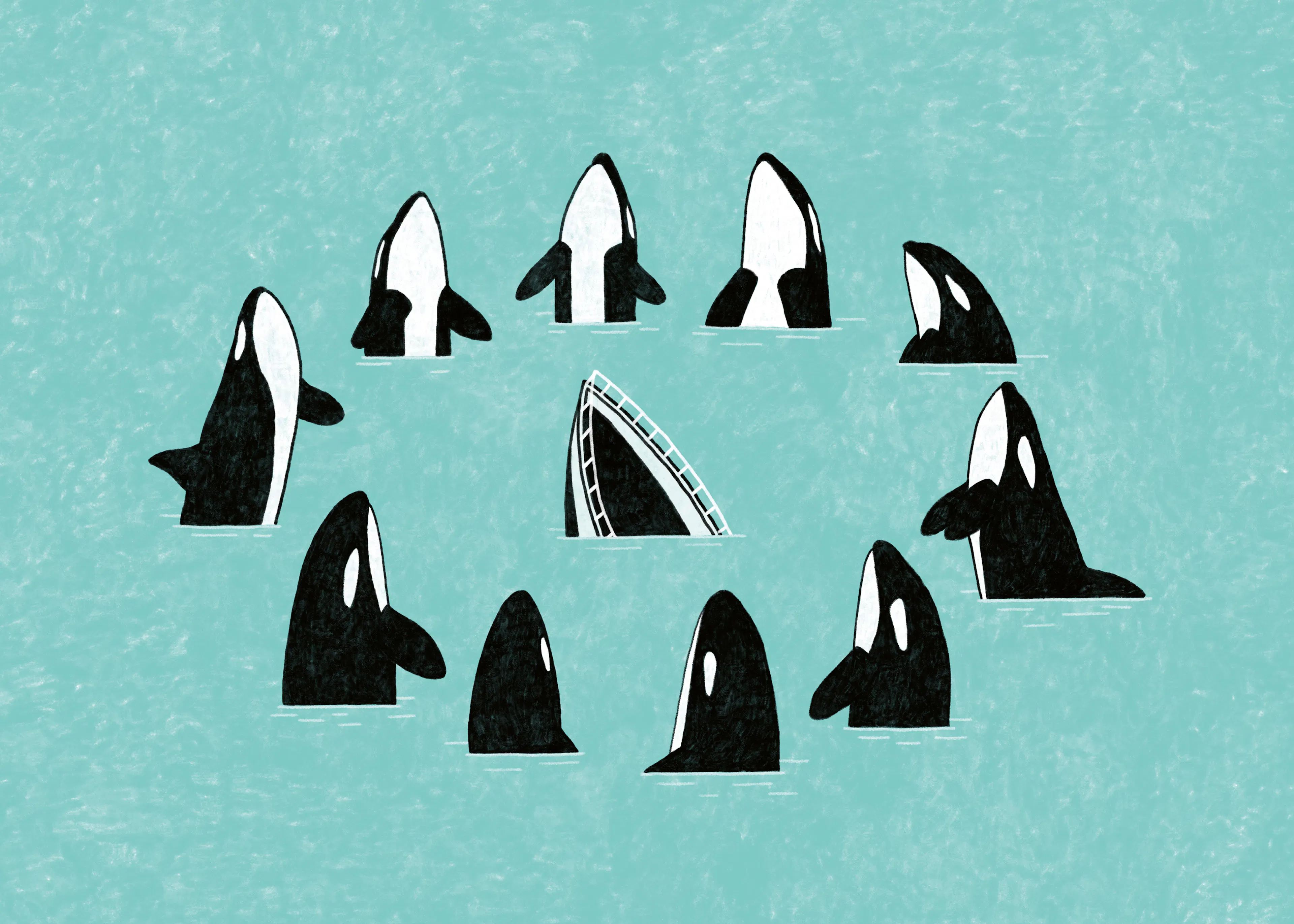 Circle Of Orcas Poster 0