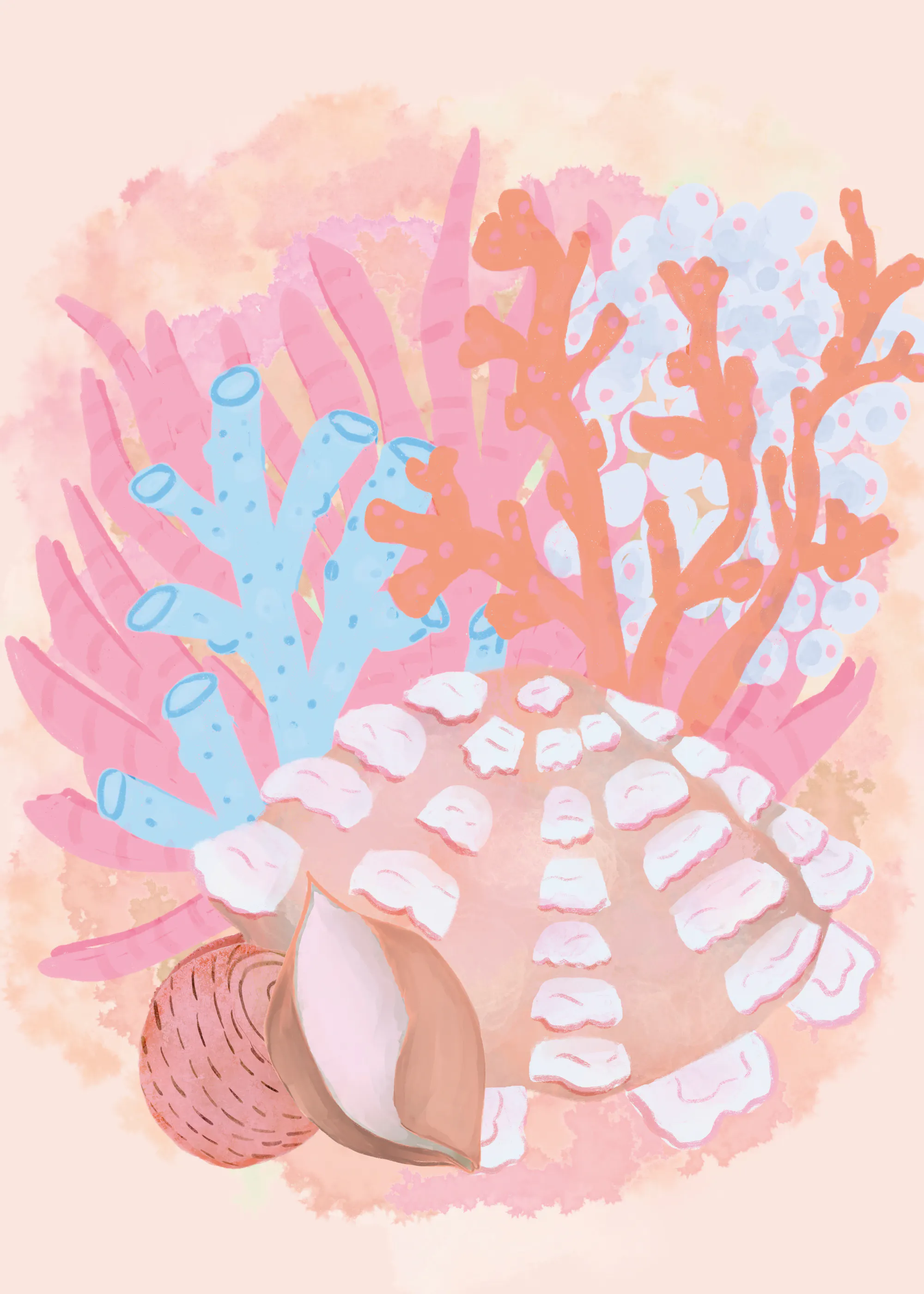 Coral Harmony Poster 0