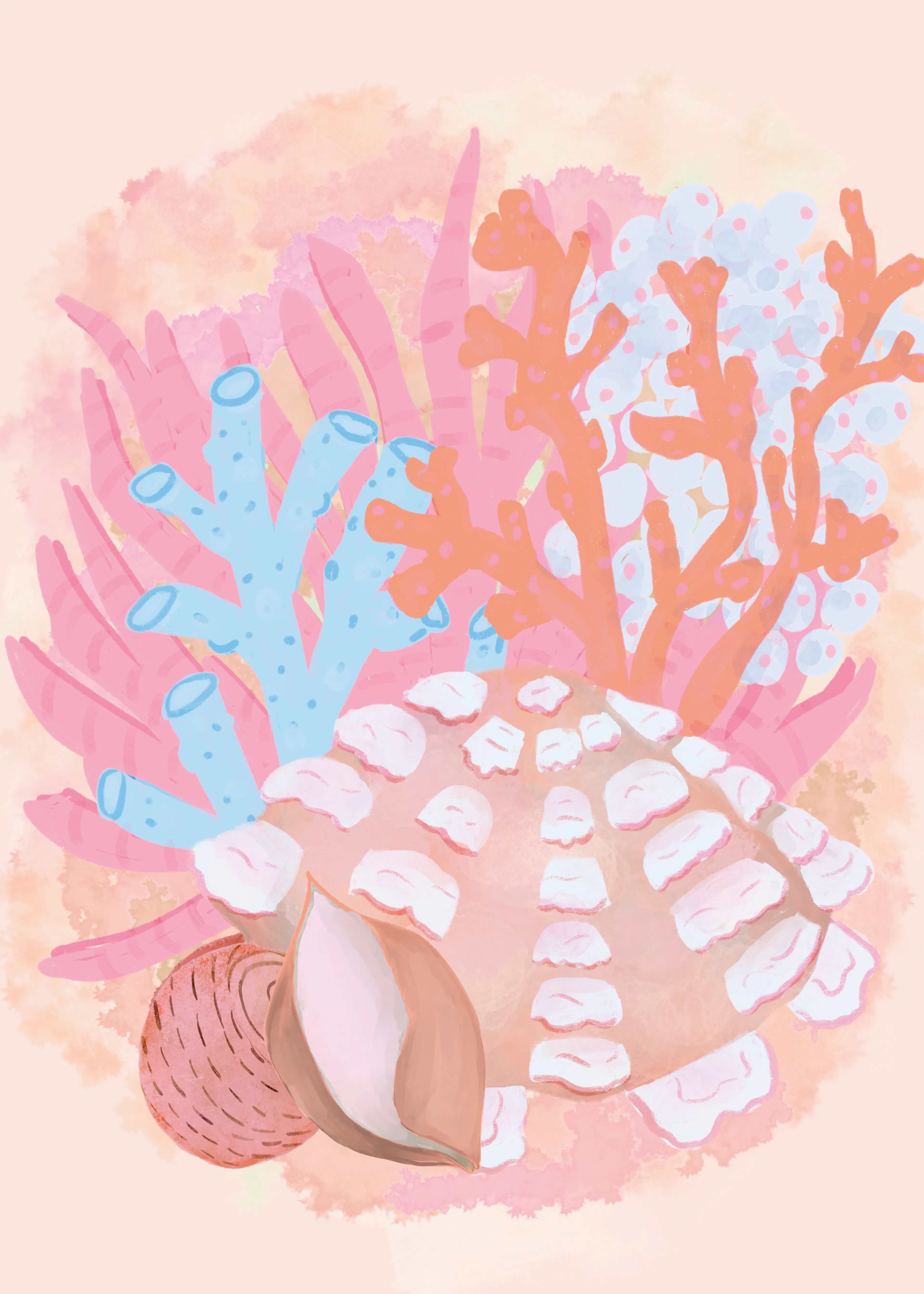 Coral Harmony Poster 0