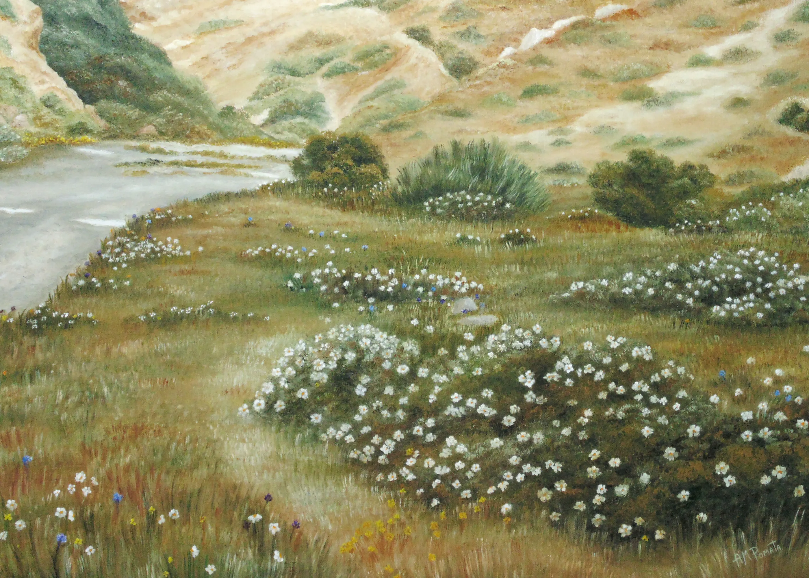 Ruhige Wildblumen Poster 0
