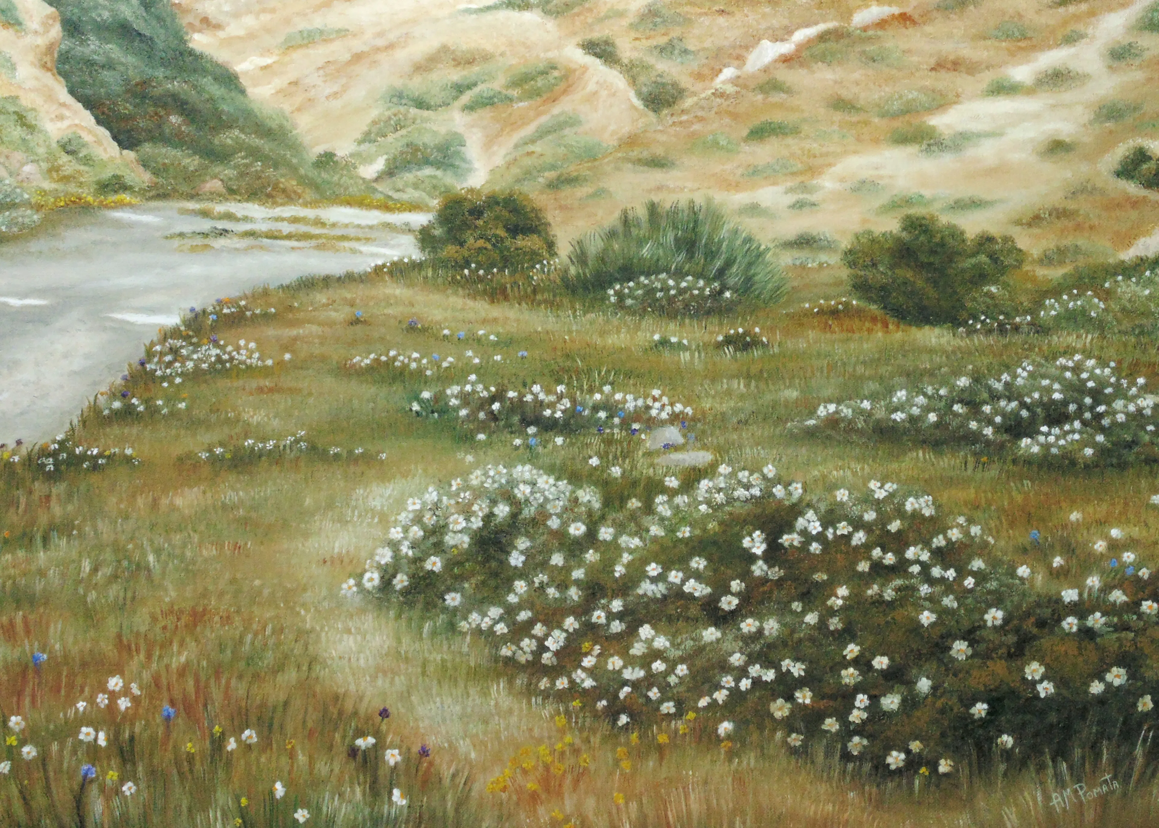 Flores Silvestres Serenas Póster 0