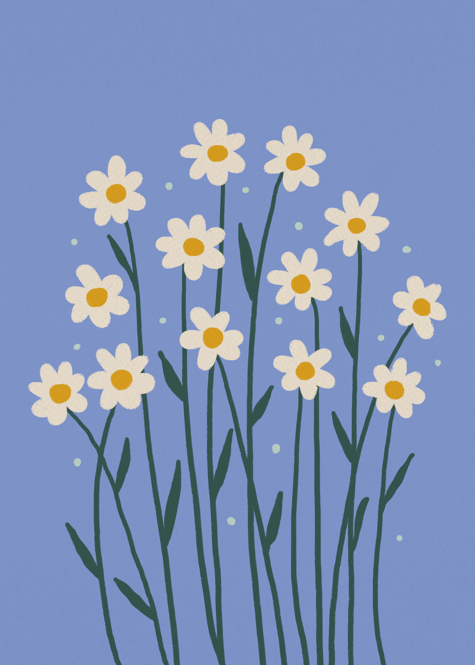 Daisy Bloom Poster 0