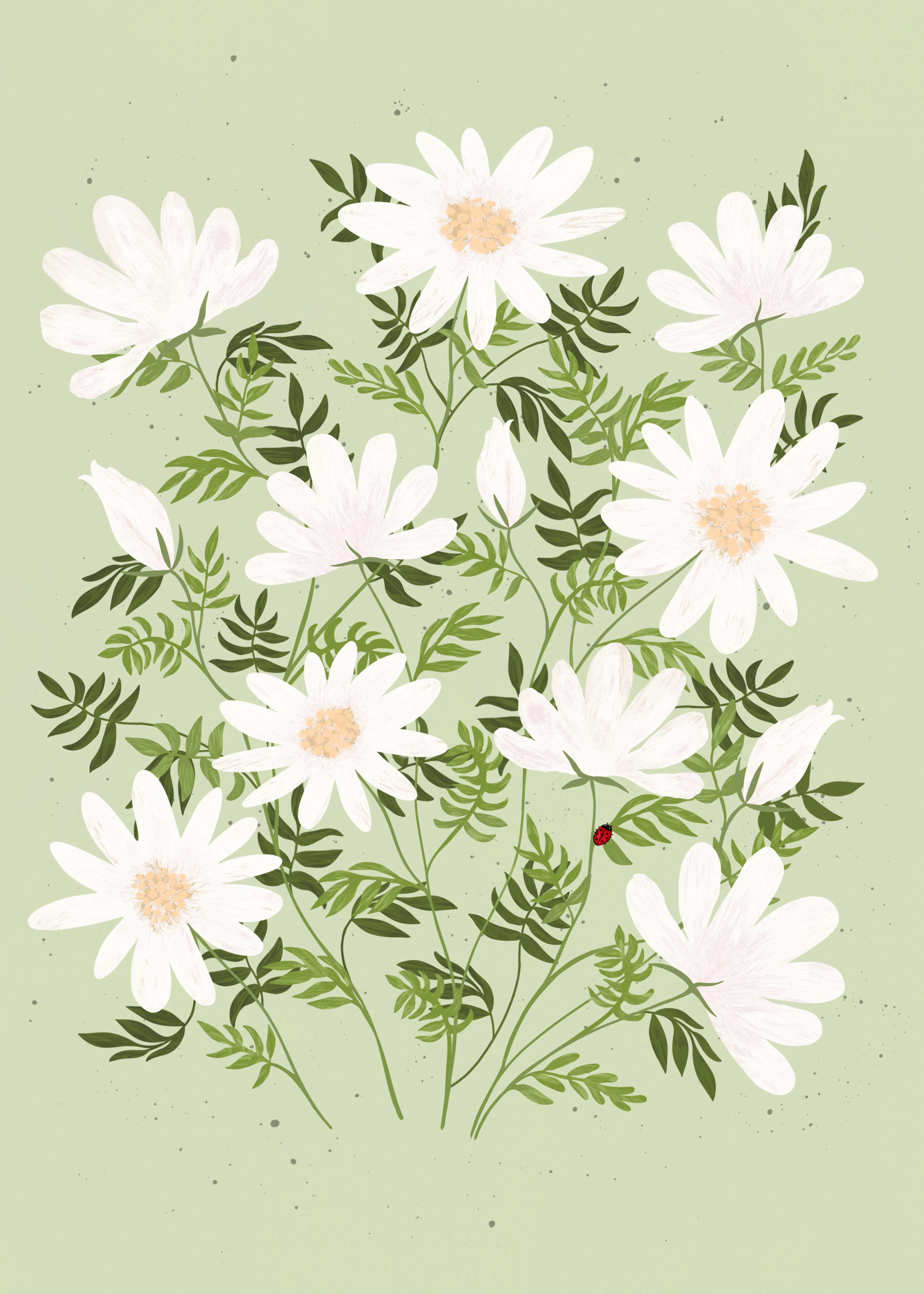 White Daisies Poster 0