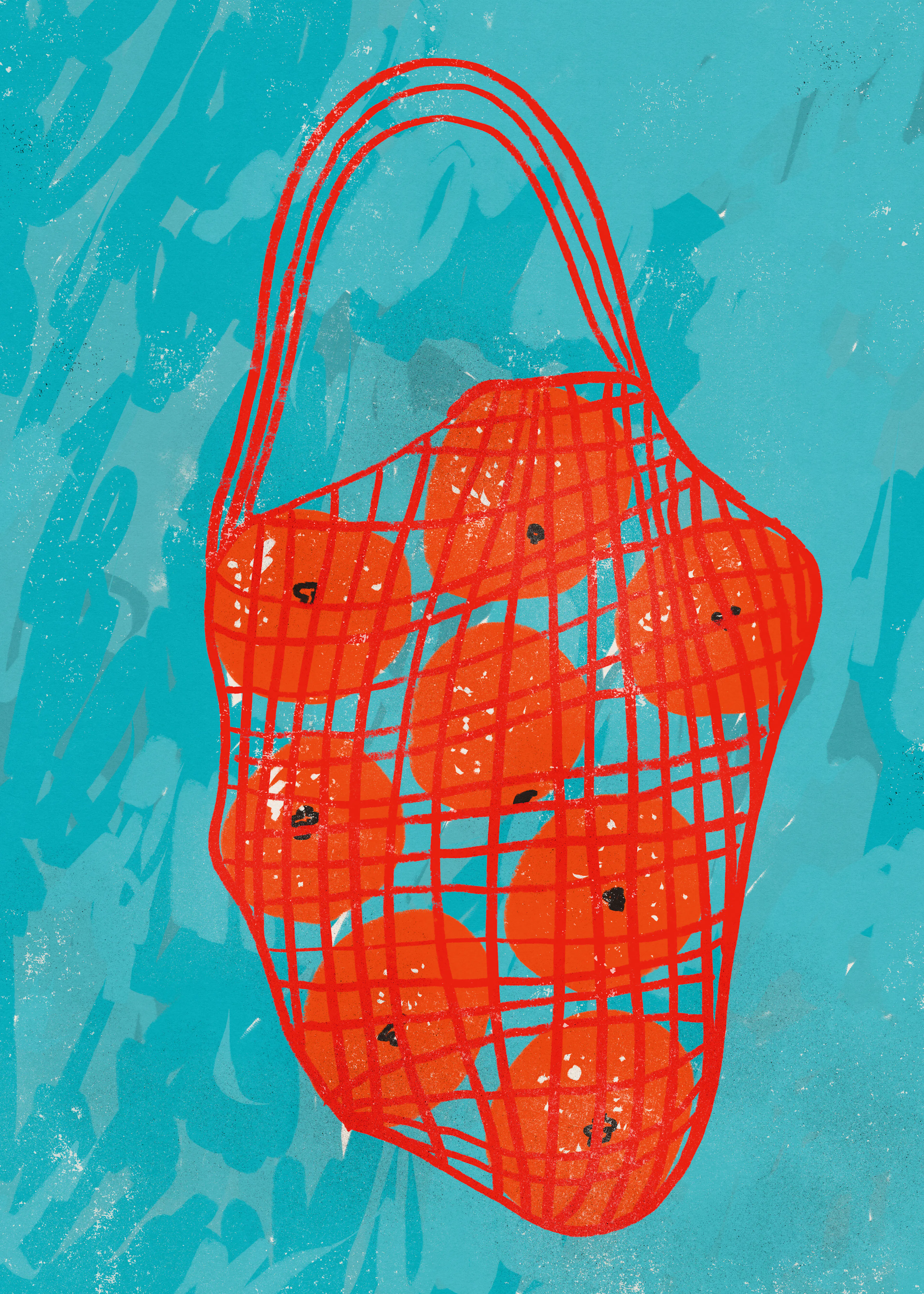 Red Net Bag Poster 0