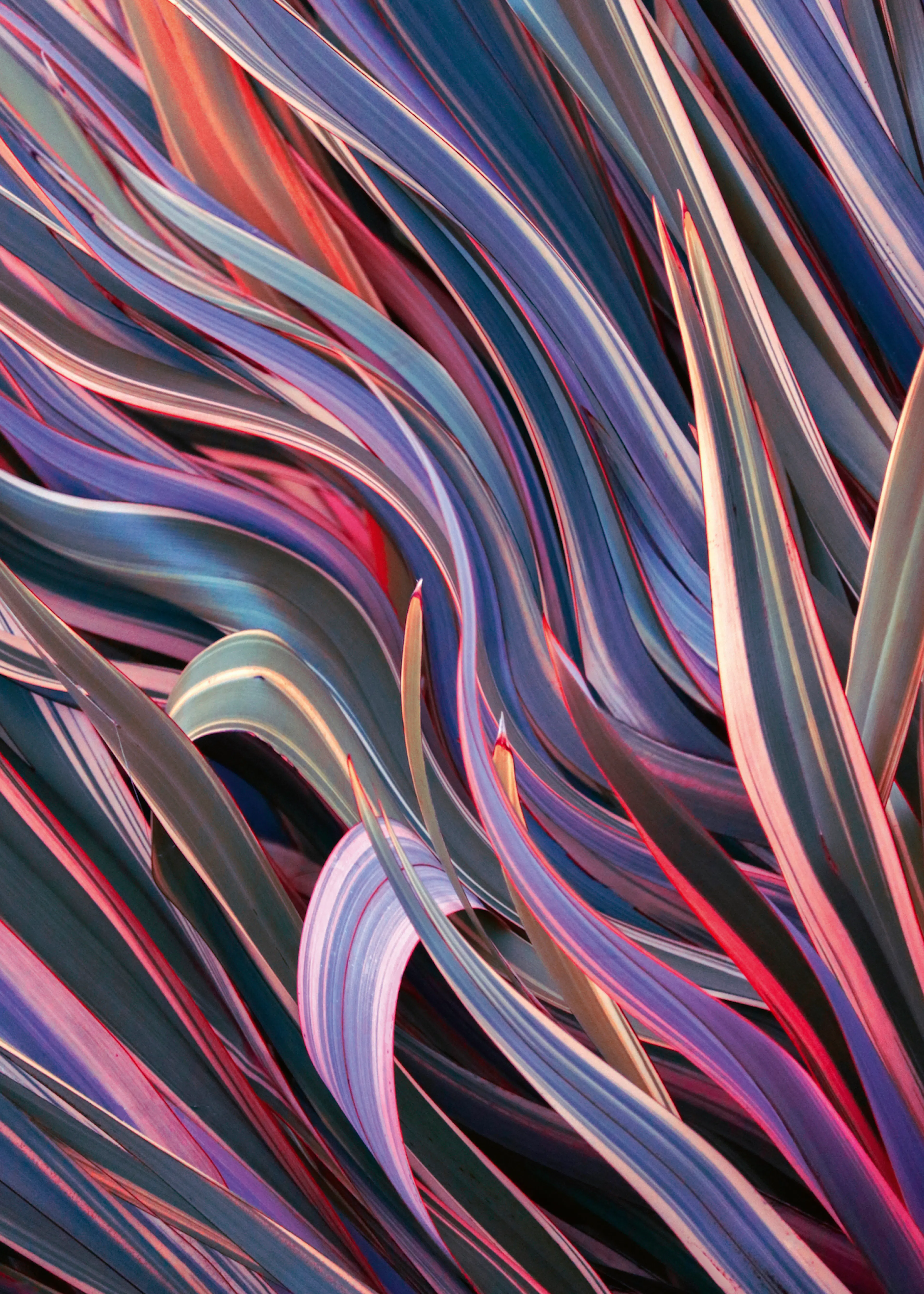 Flowing Colors Poster 0